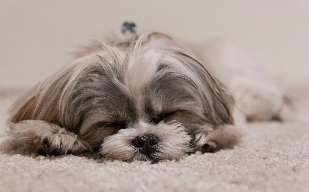 Фото WoodSpring Suites Houston La Porte