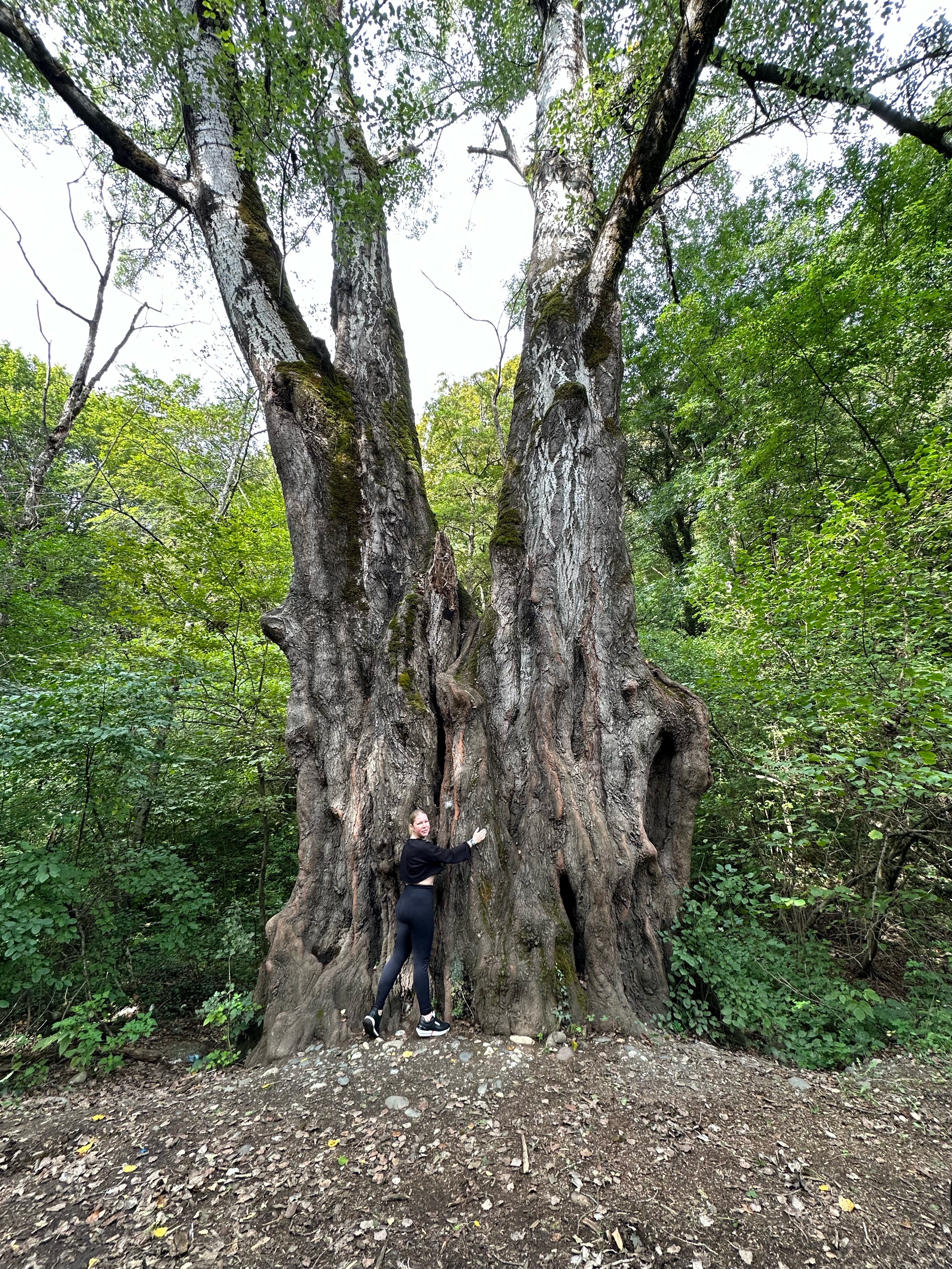 Фото Кактус Арт