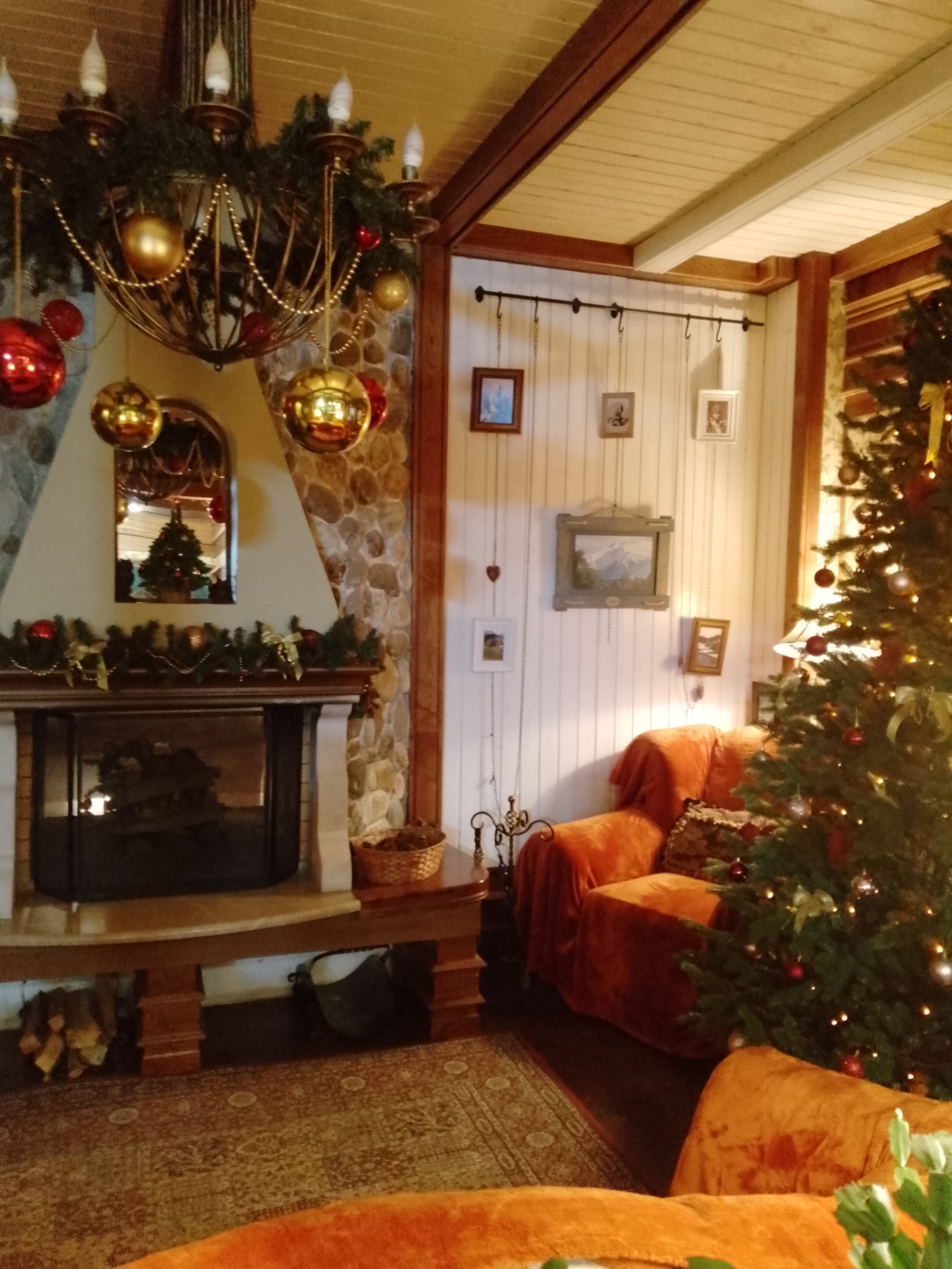 Фото Березки