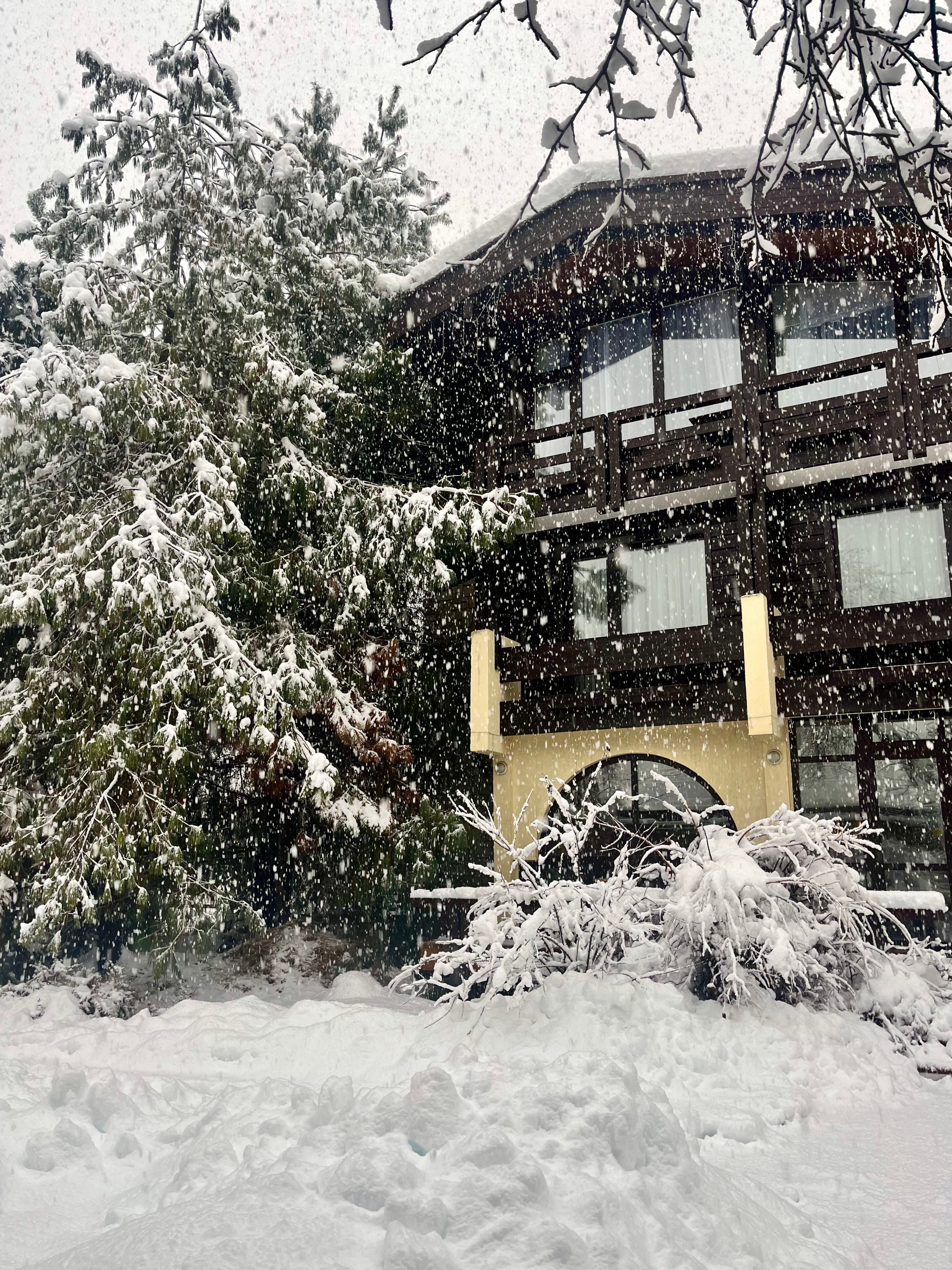 Фото Грейстоун