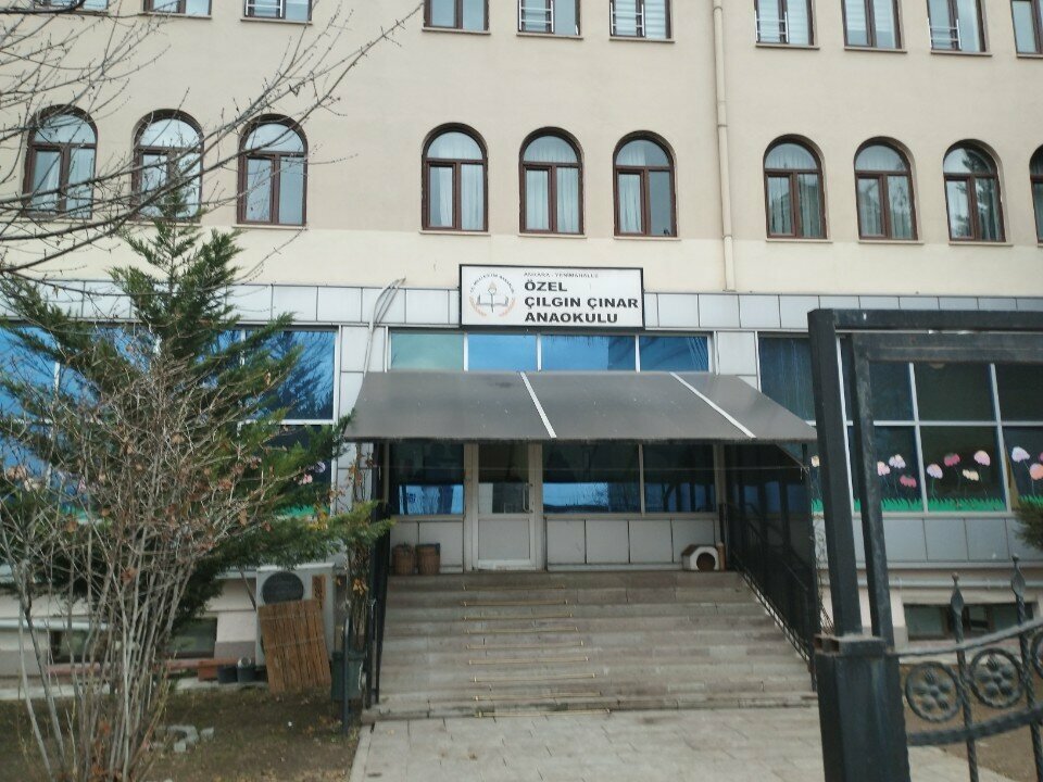 Private school Private Crazy Plane Tree Kindergarten, Ankara, photo