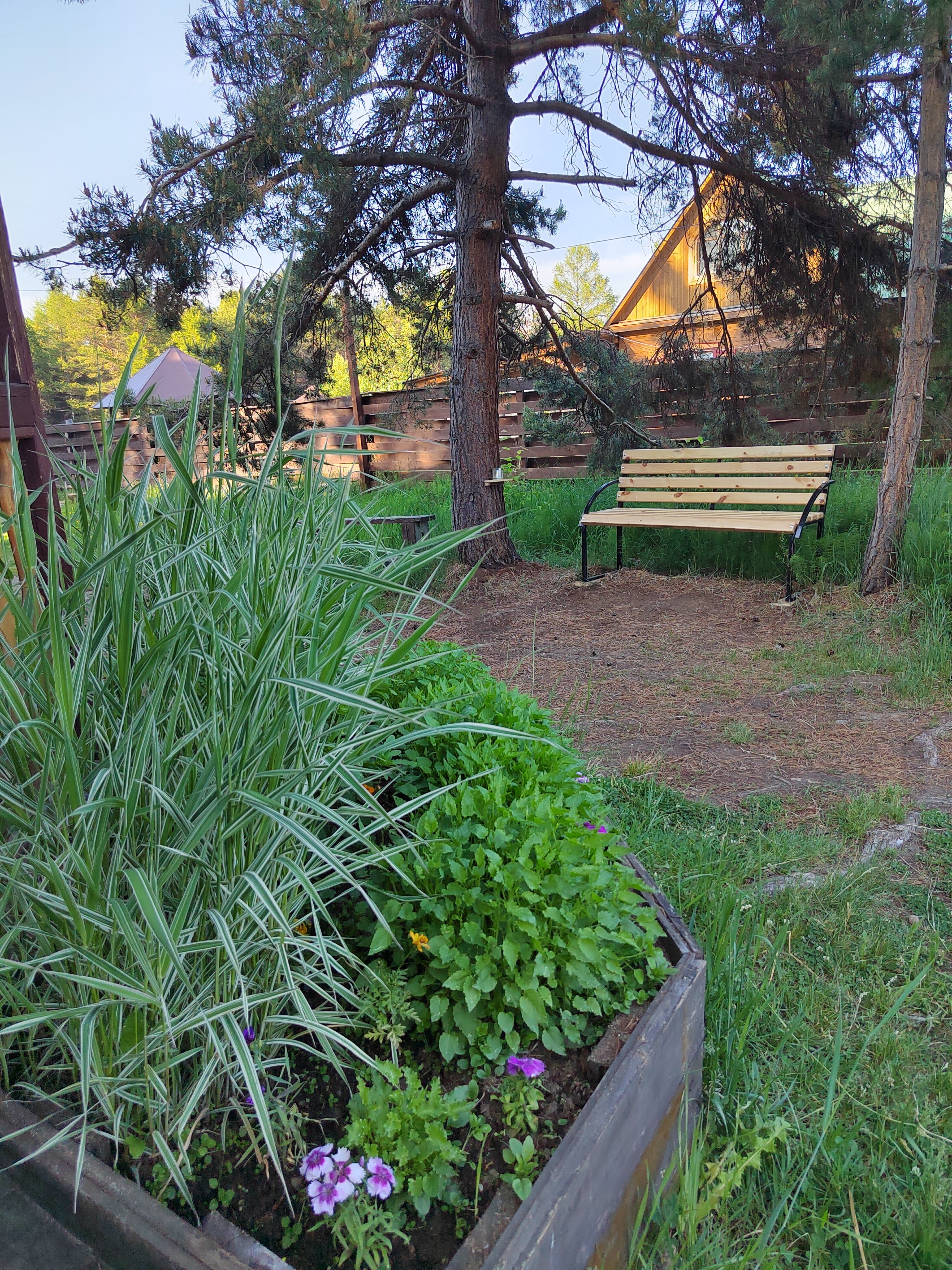 Фото Семейный