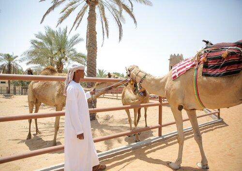 Гостиница Emirates Park Resort в Абу-Даби