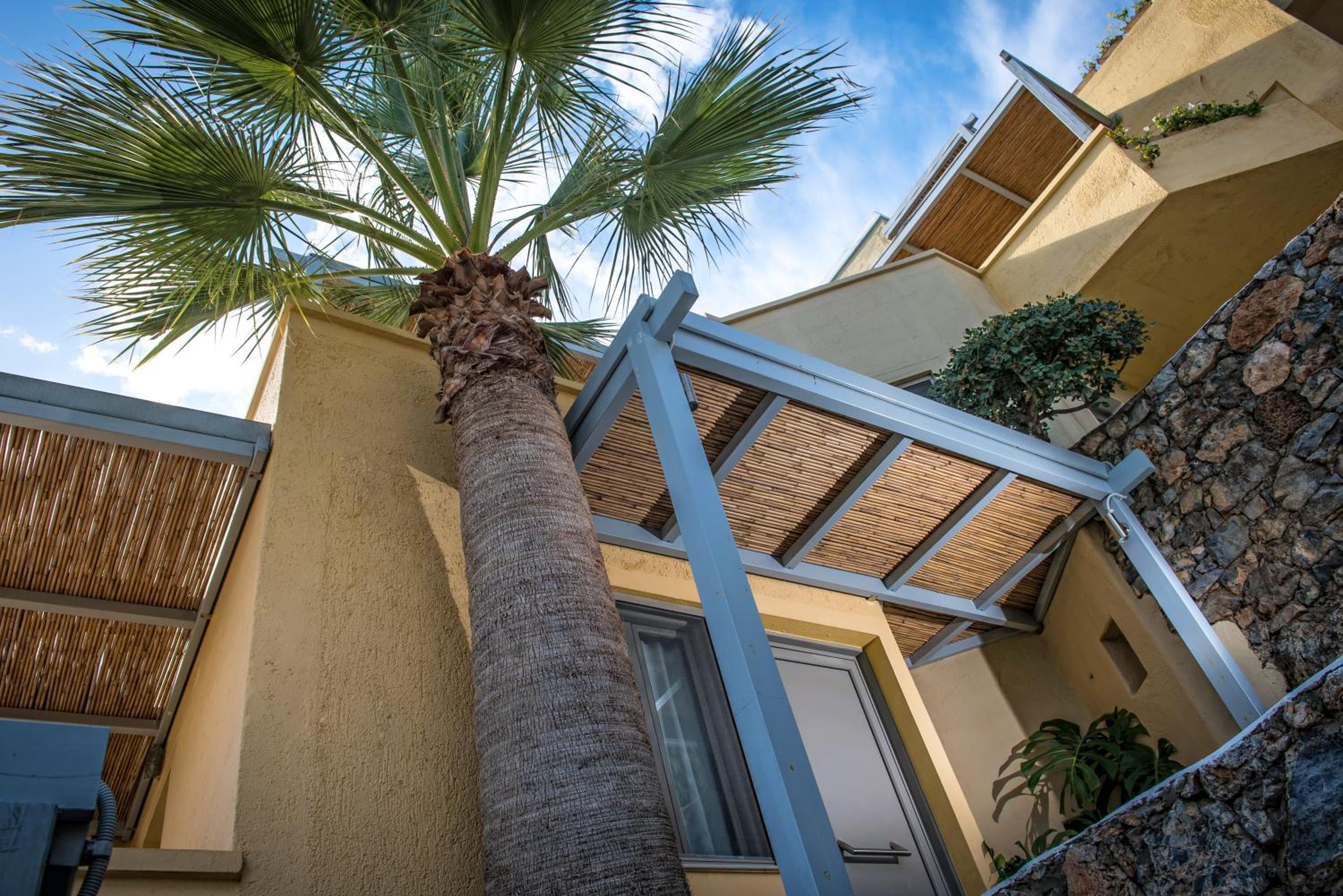 Фото Skajado Cottages & Apartments