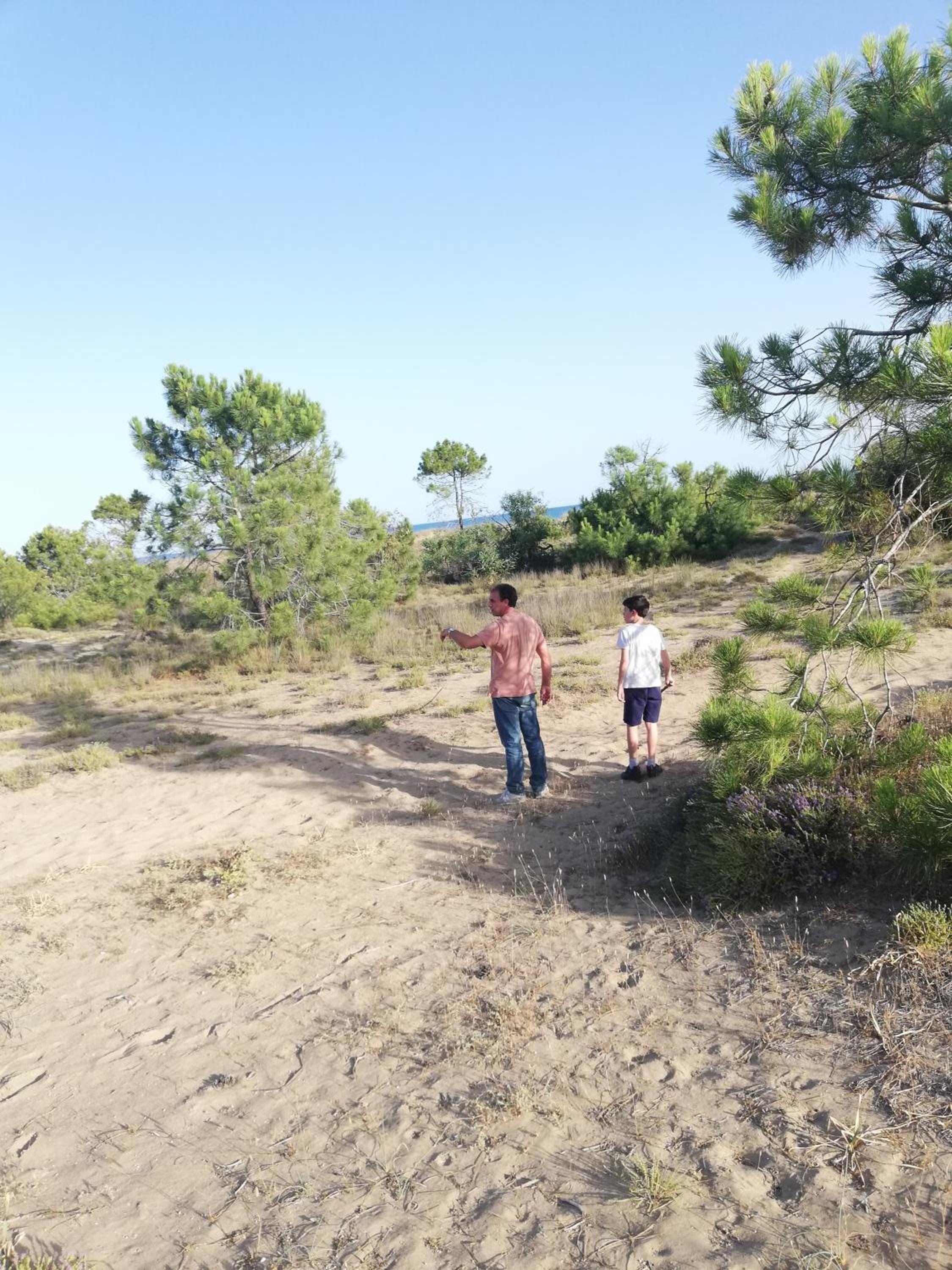 Фото Villa Daizy