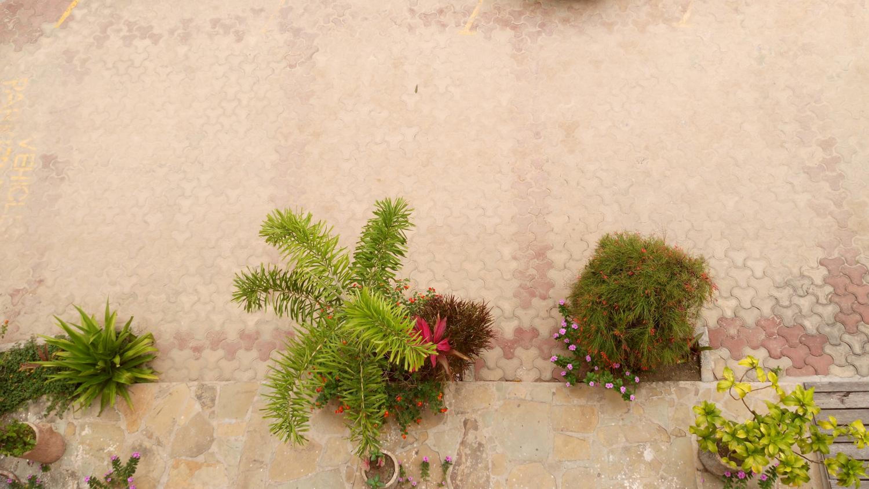 Фото Jacyjoka Apartments Nyali