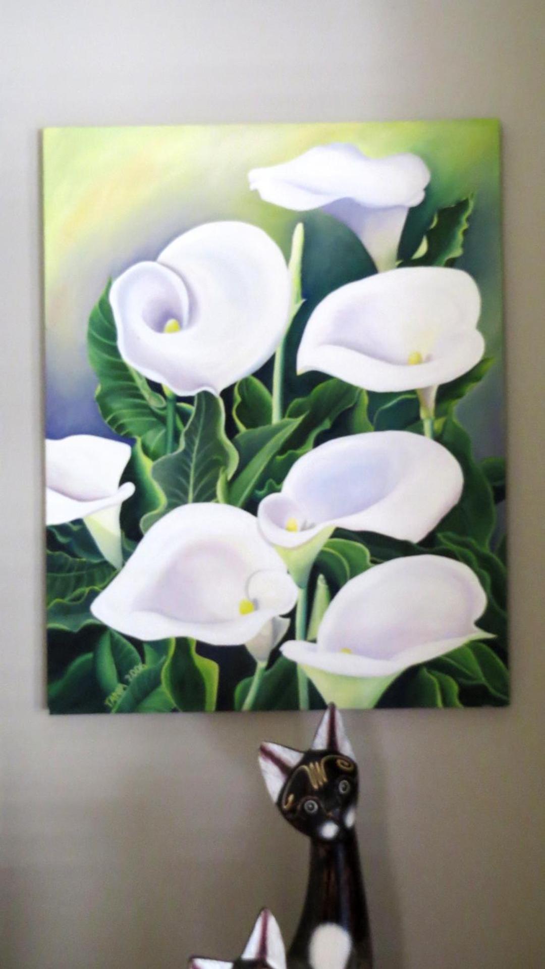 Фото 21 Klein Karoo Street