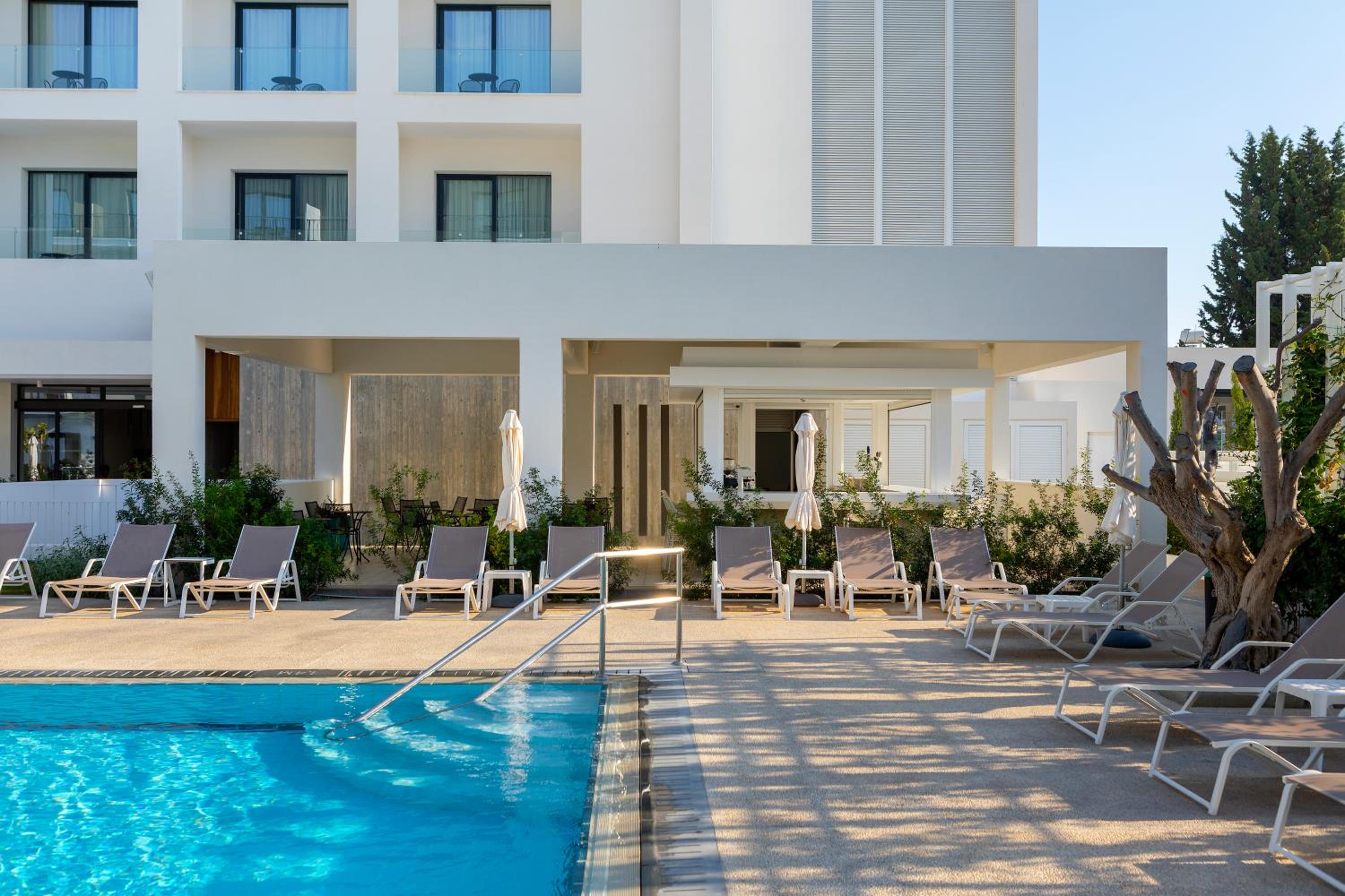 Фото Anemi Hotel & Suites