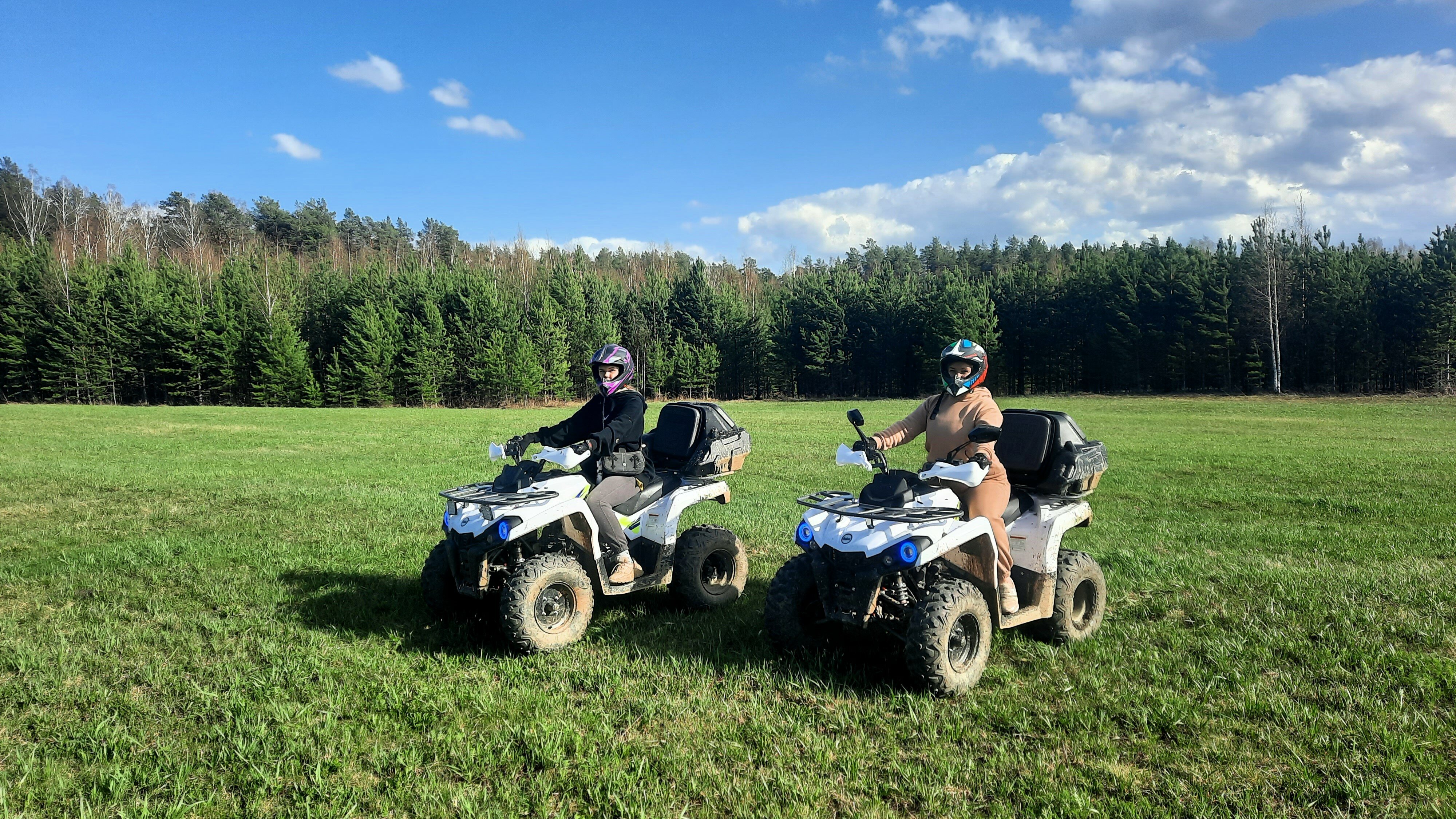 Фото Свобода леса