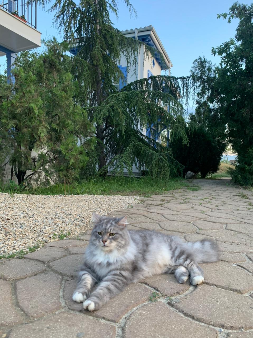 Фото Родина