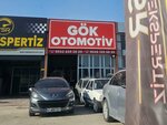 Gok Automotive (Konya, Karatay, Fevzicakmak Neighborhood, Haci Veli Aga Avenue, 35) ، وكلاء سيارات