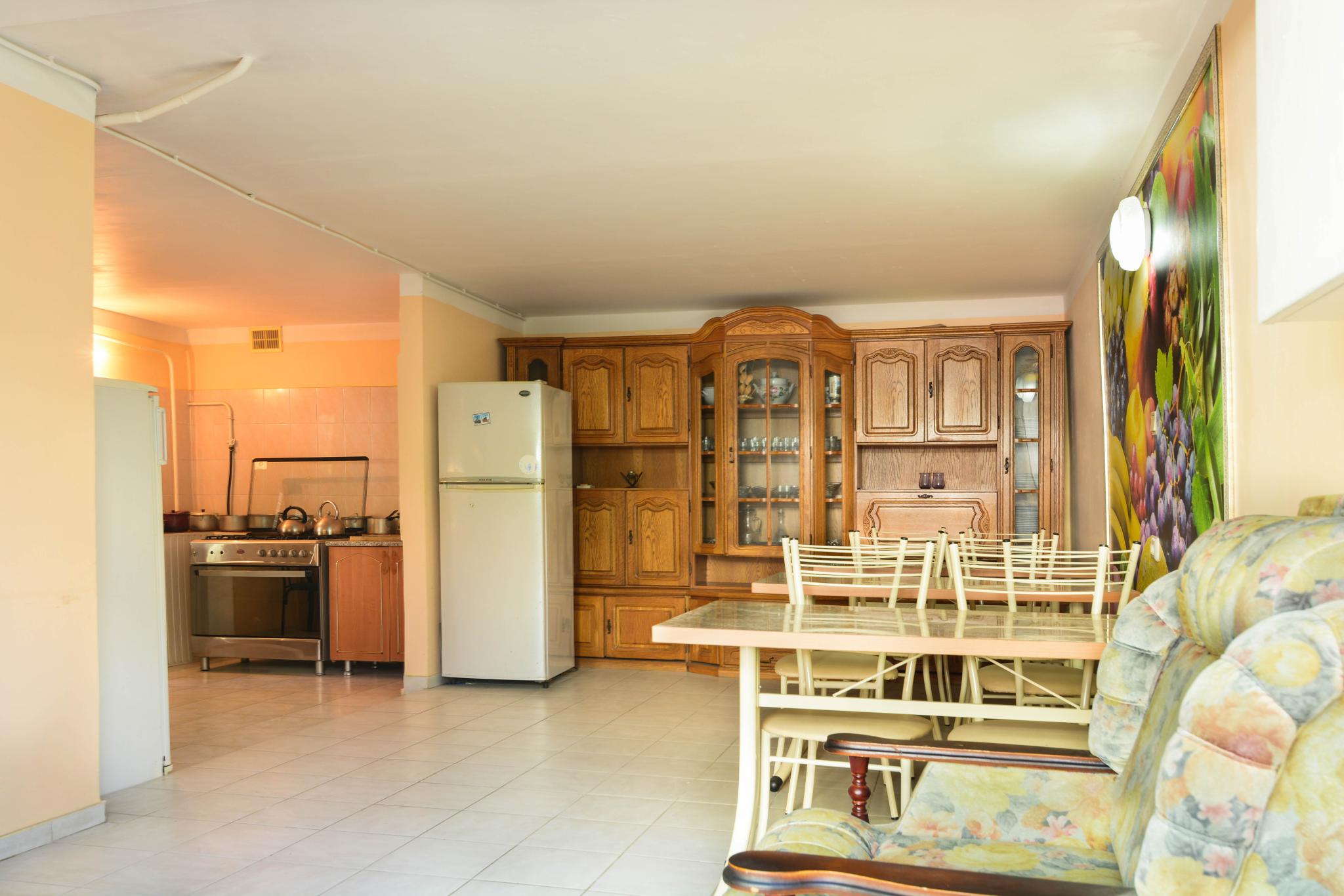 Фото Звёздочка