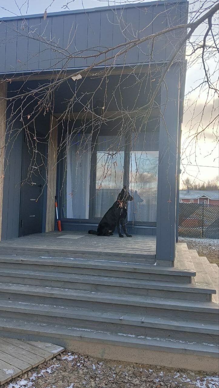 Фото Сканди куб