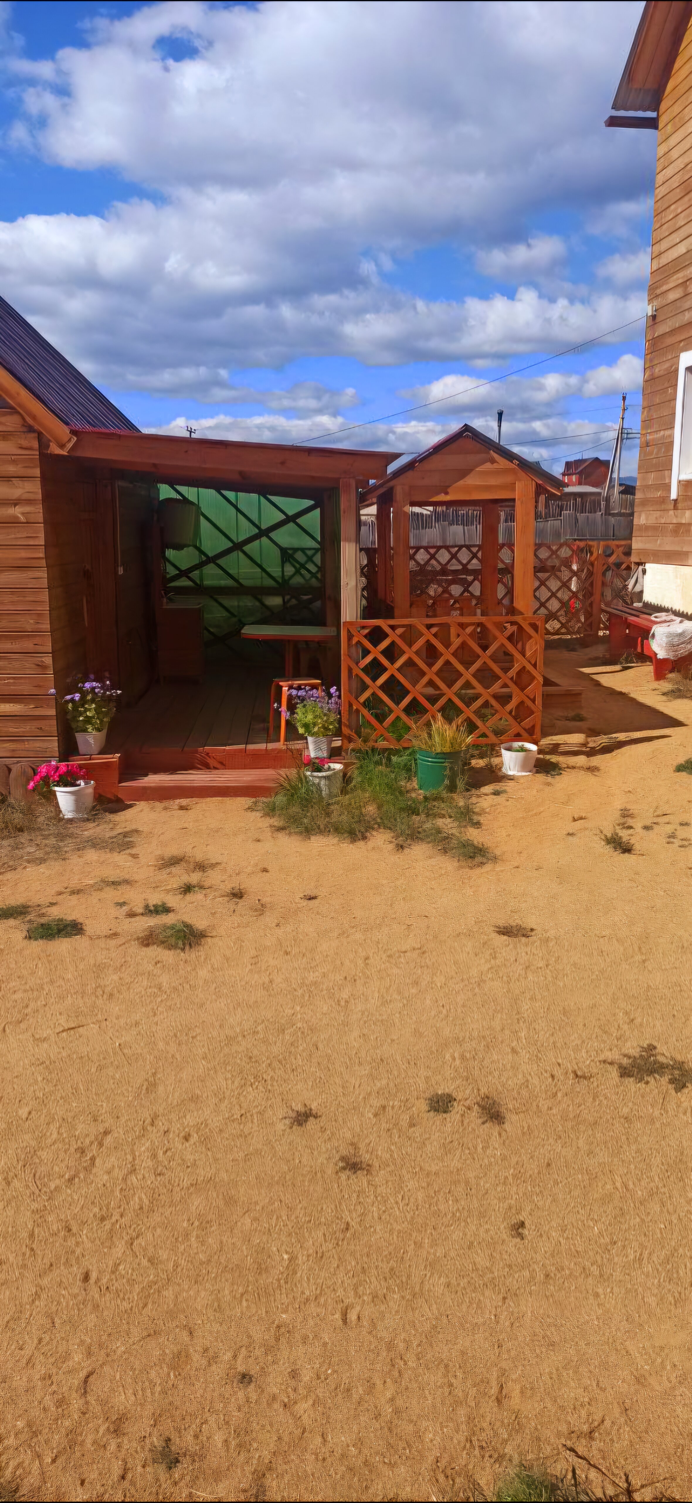 Фото Иволга