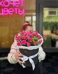 Botanika (ulitsa Lenina, 137В) ، محل زهور