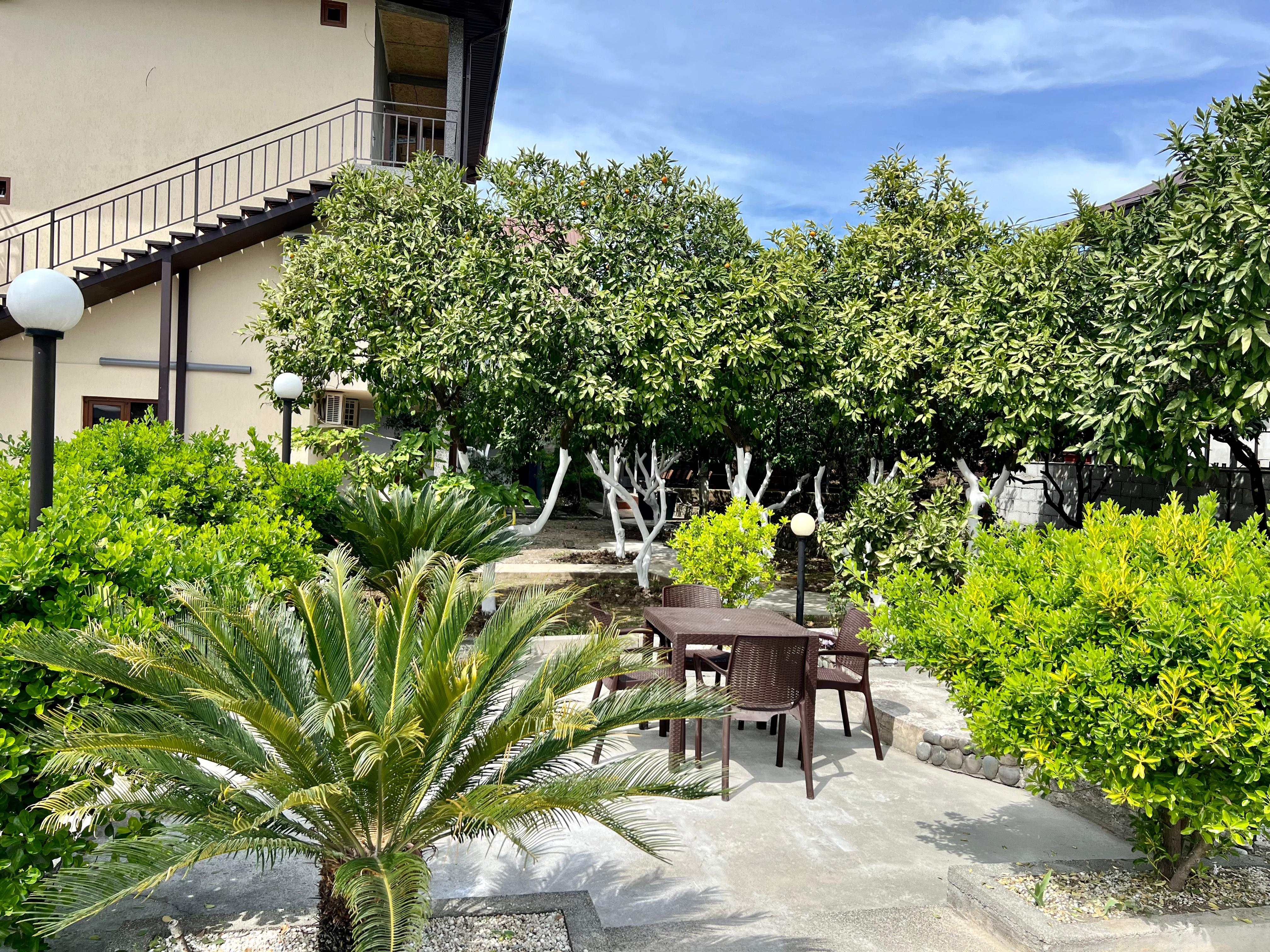 Фото Стрелец