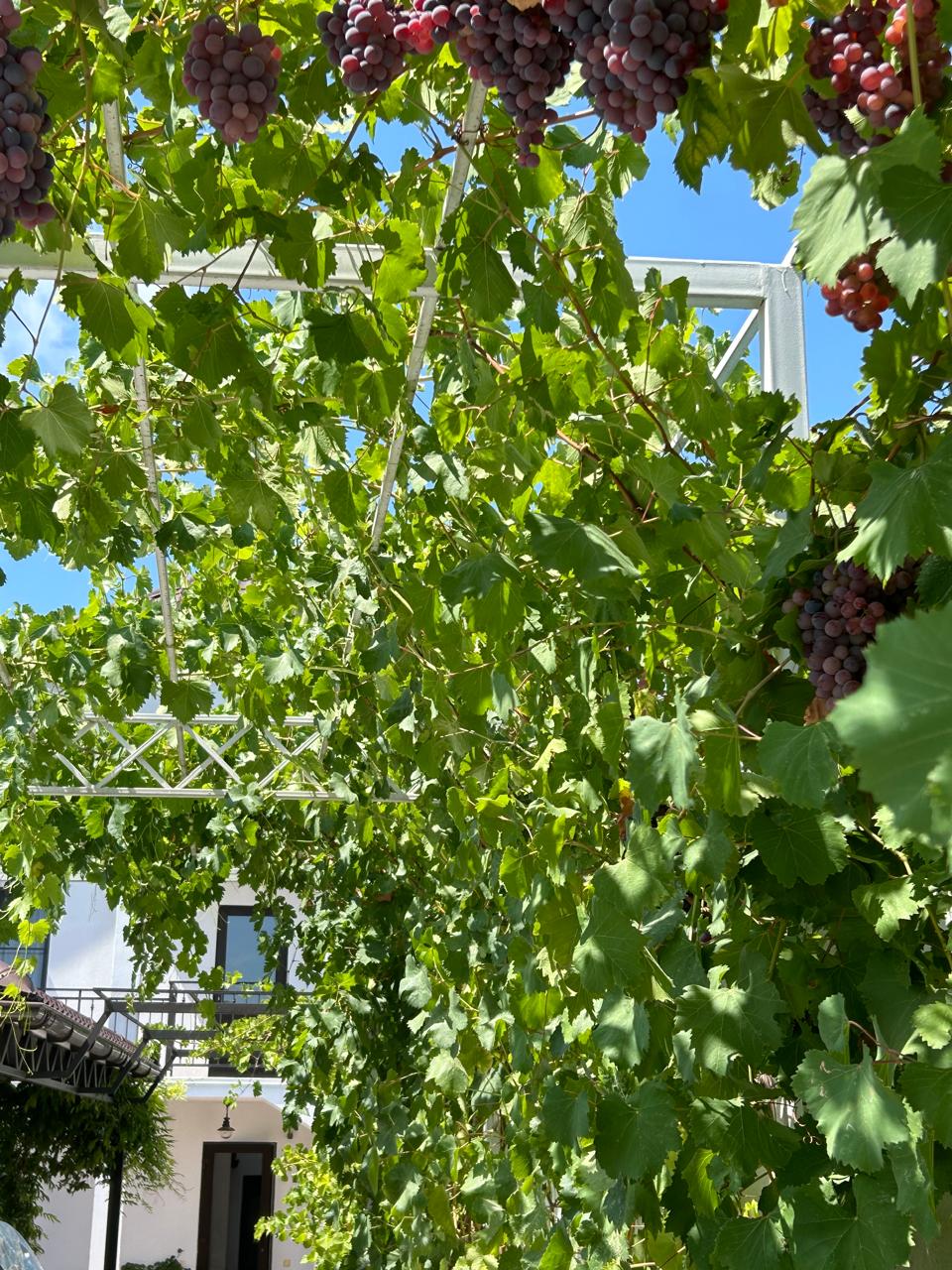 Фото Три Восьмерки