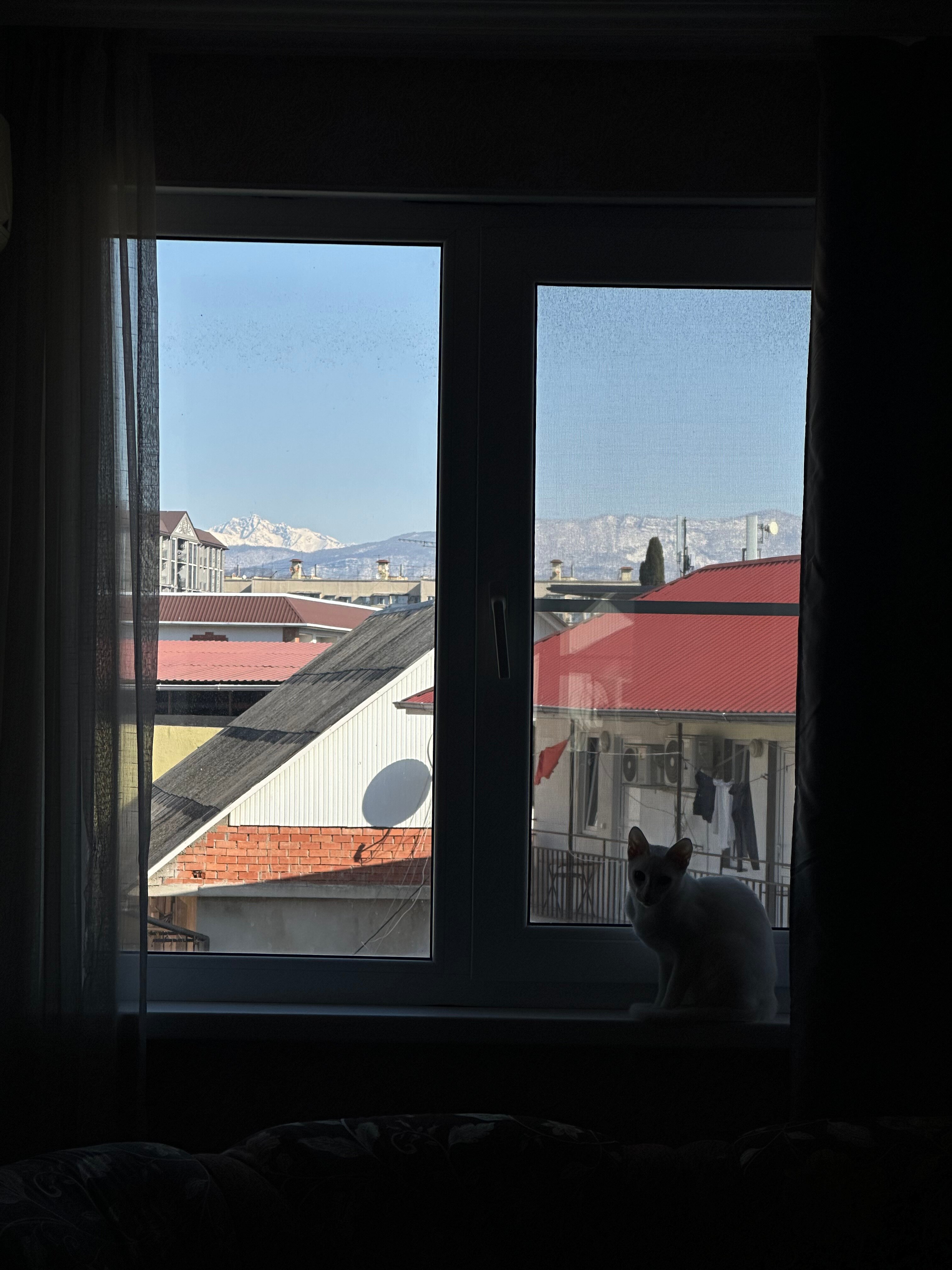 Фото Талассо