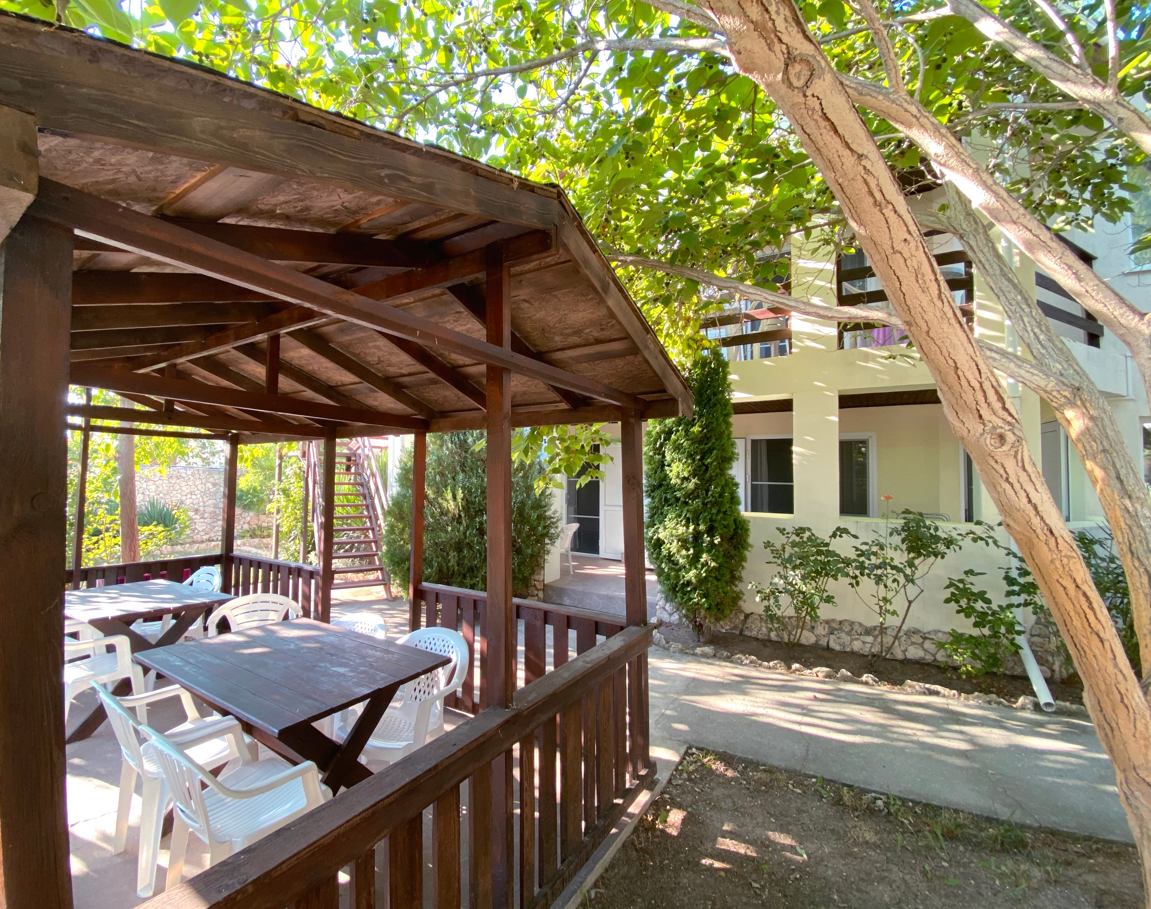 Фото АвокаДа