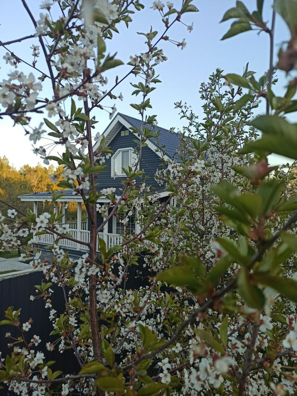 Фото Усадьба Малиновый родник