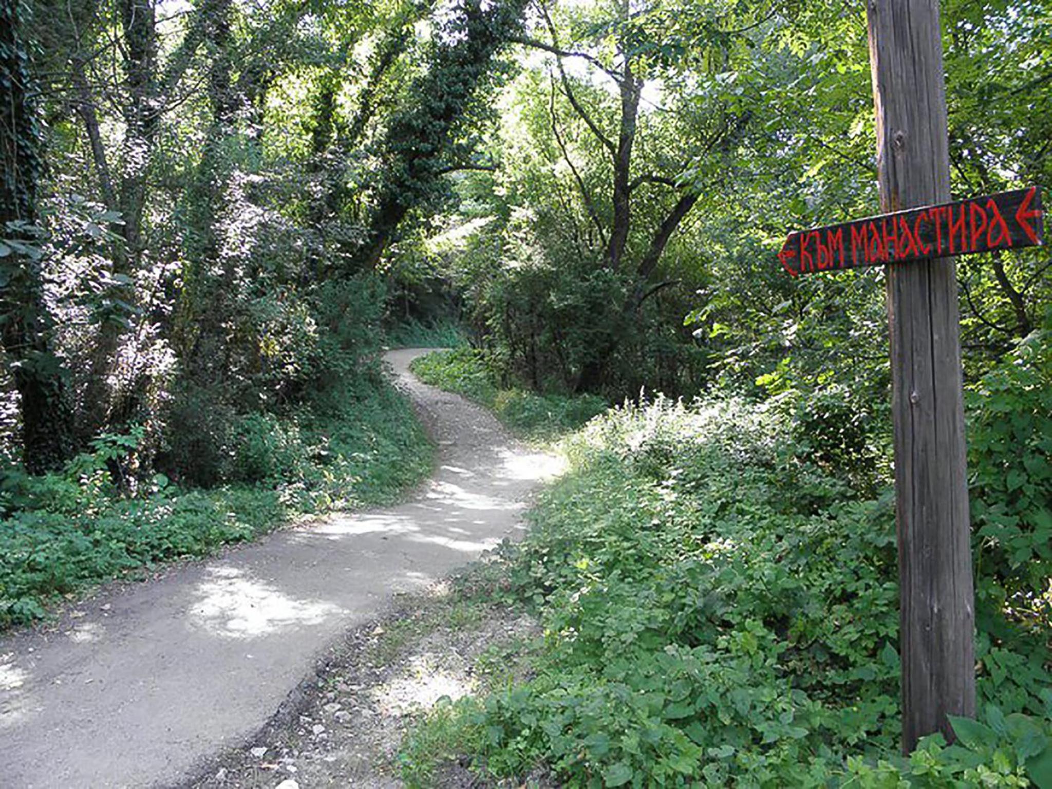 Фото Villa Kalin