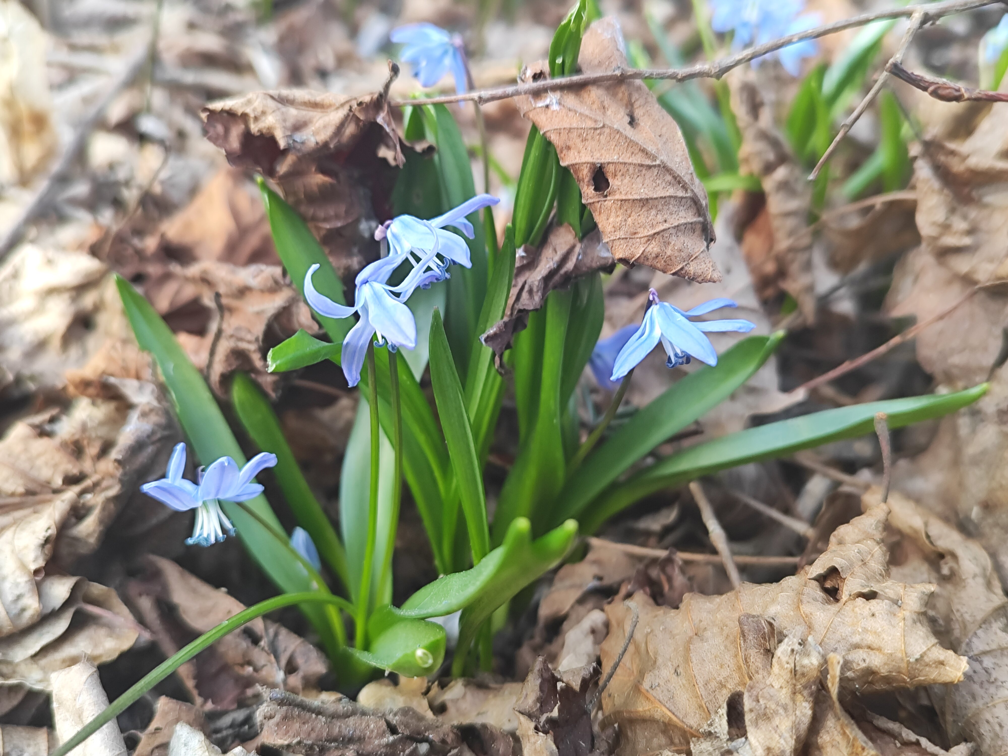 Фото Другой берег
