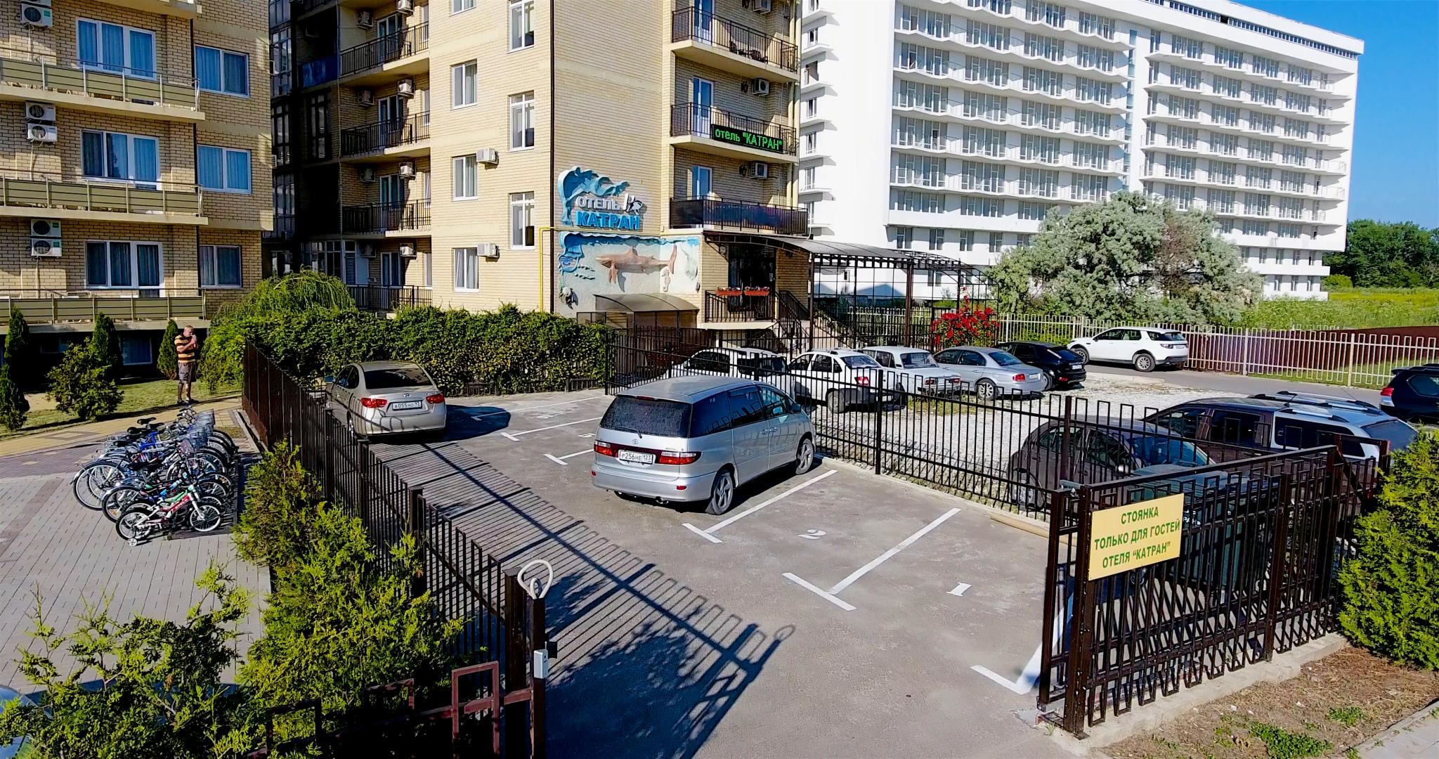 Фото Катран