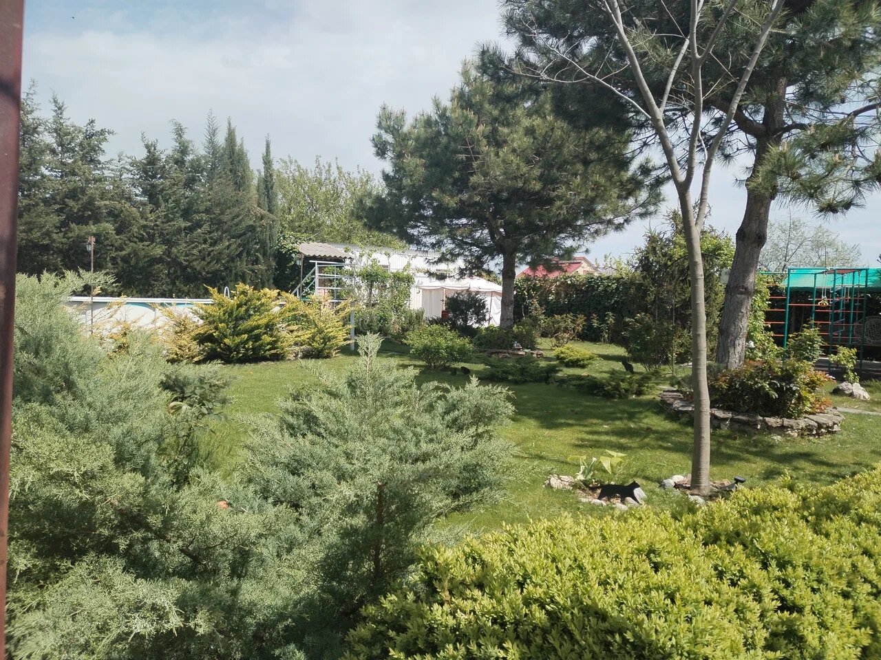 Фото Ивушка