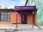 Wildberries (ulitsa Lenina, 18) ، نقطة تسليم