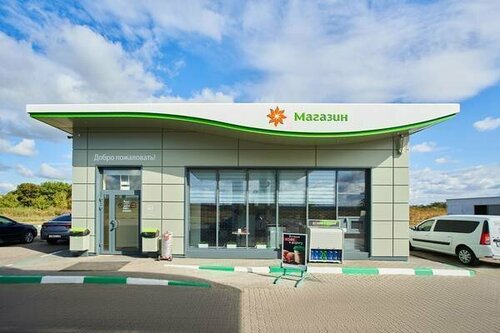Gas station Tatneft, Samara Oblast, photo
