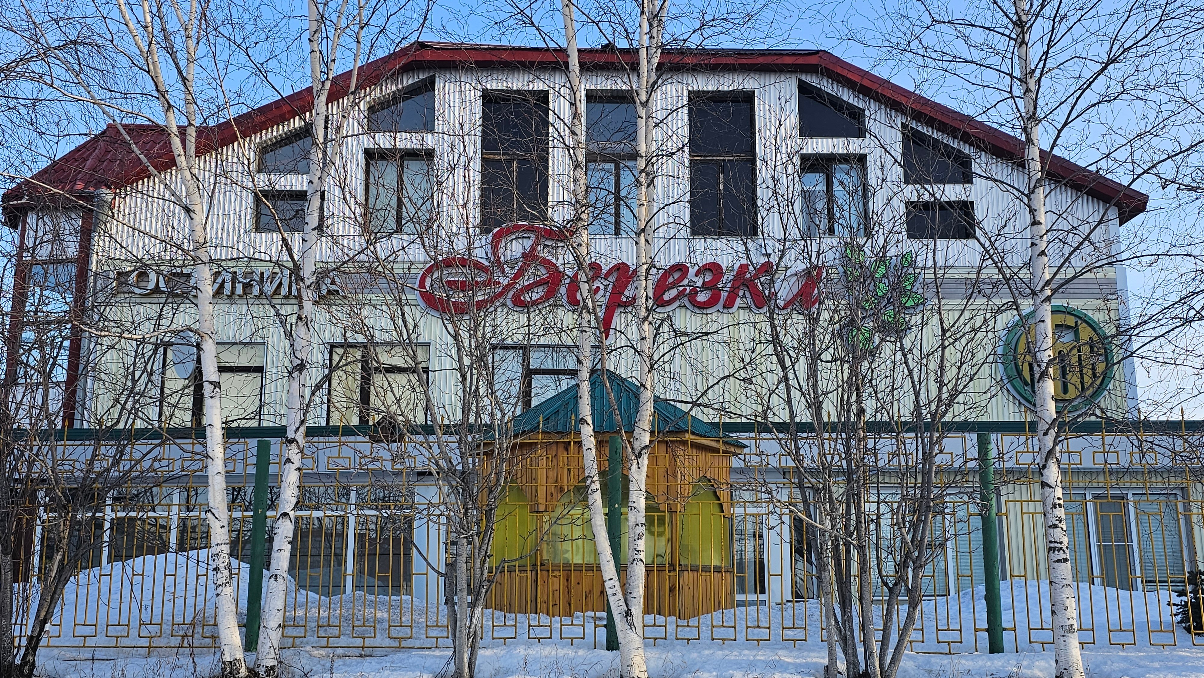 Фото Березка