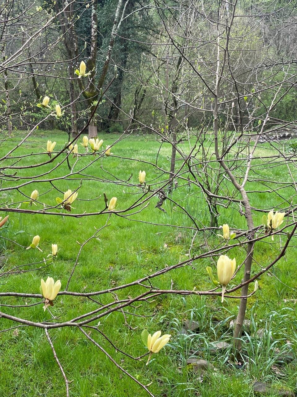 Фото Эко Парк Вотчина