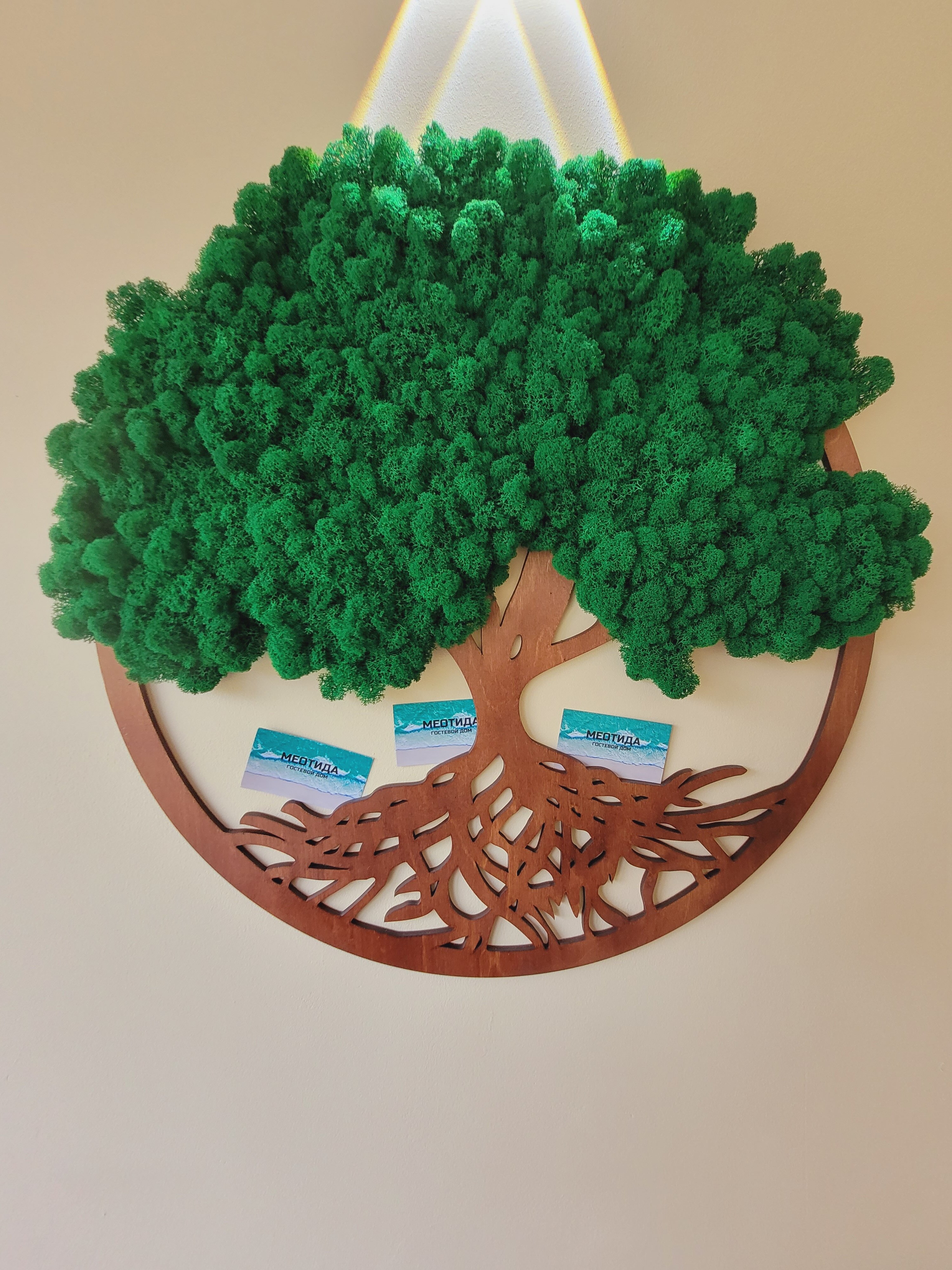 Фото Меотида