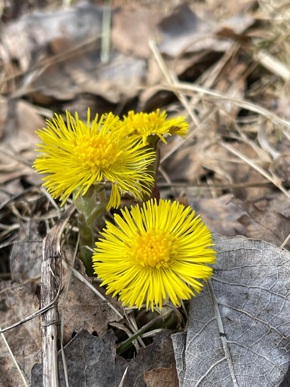 Фото Заповедник впечатлений