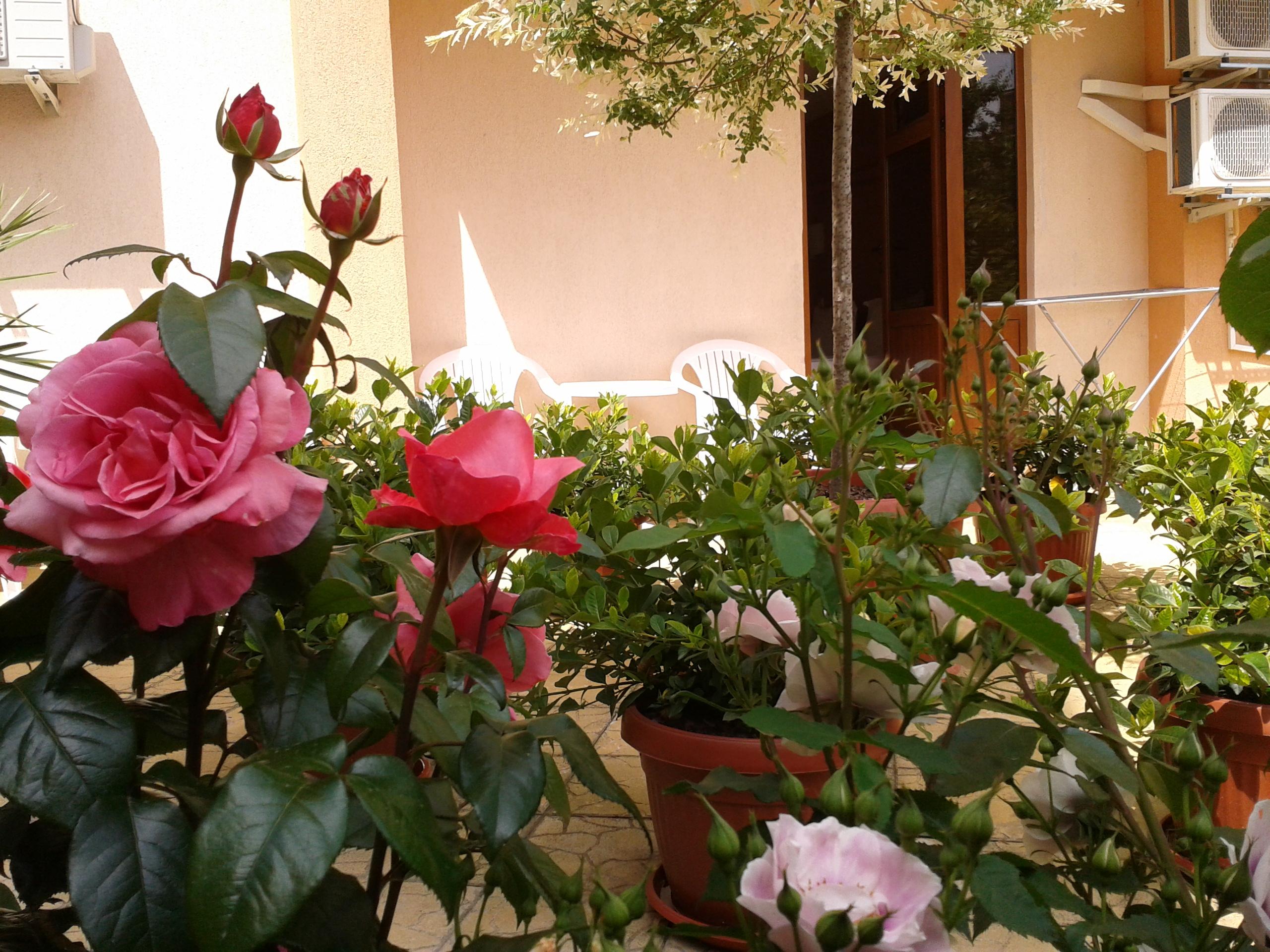 Фото Hotel Chuchulev