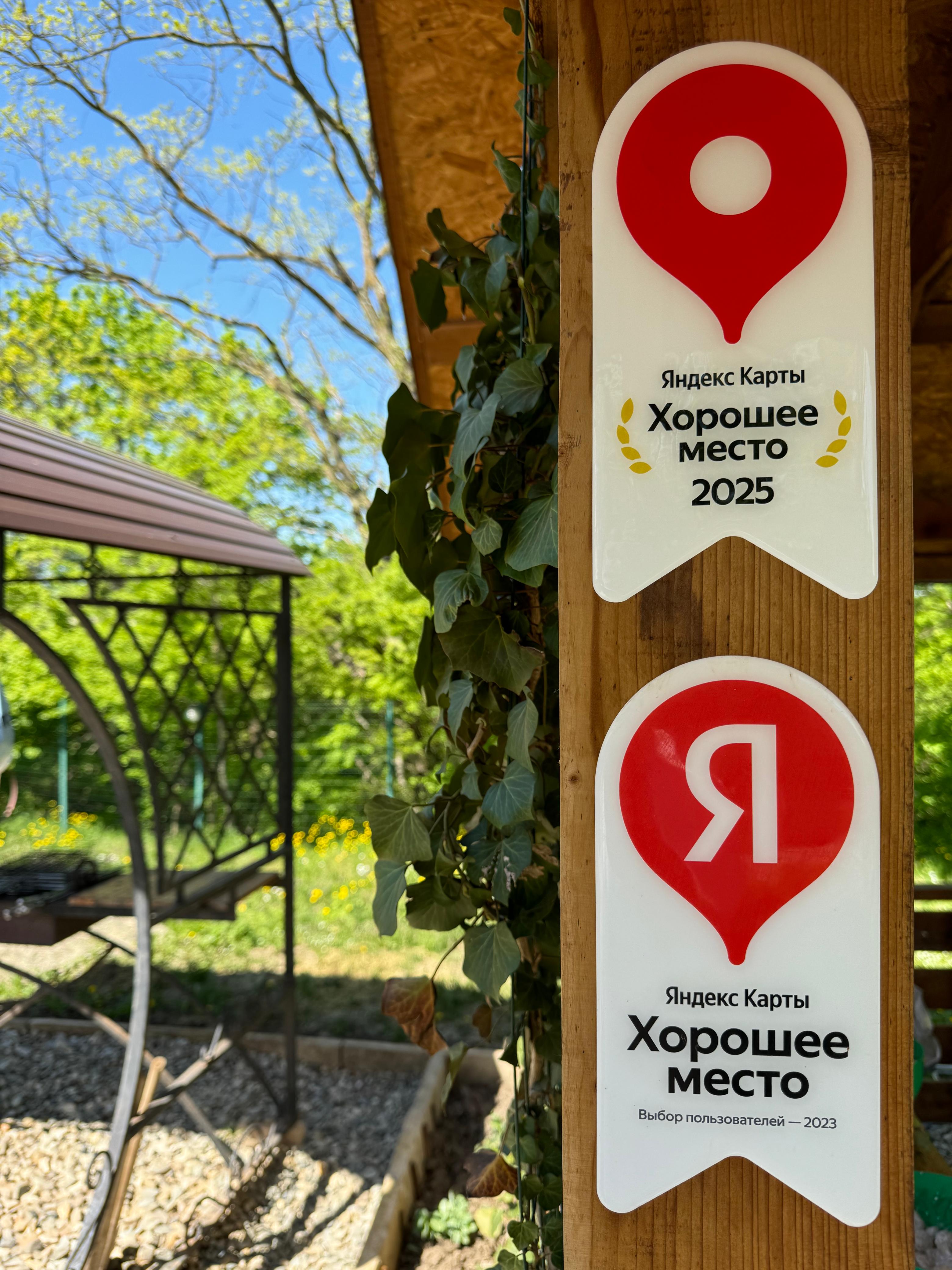 Фото Стрижи