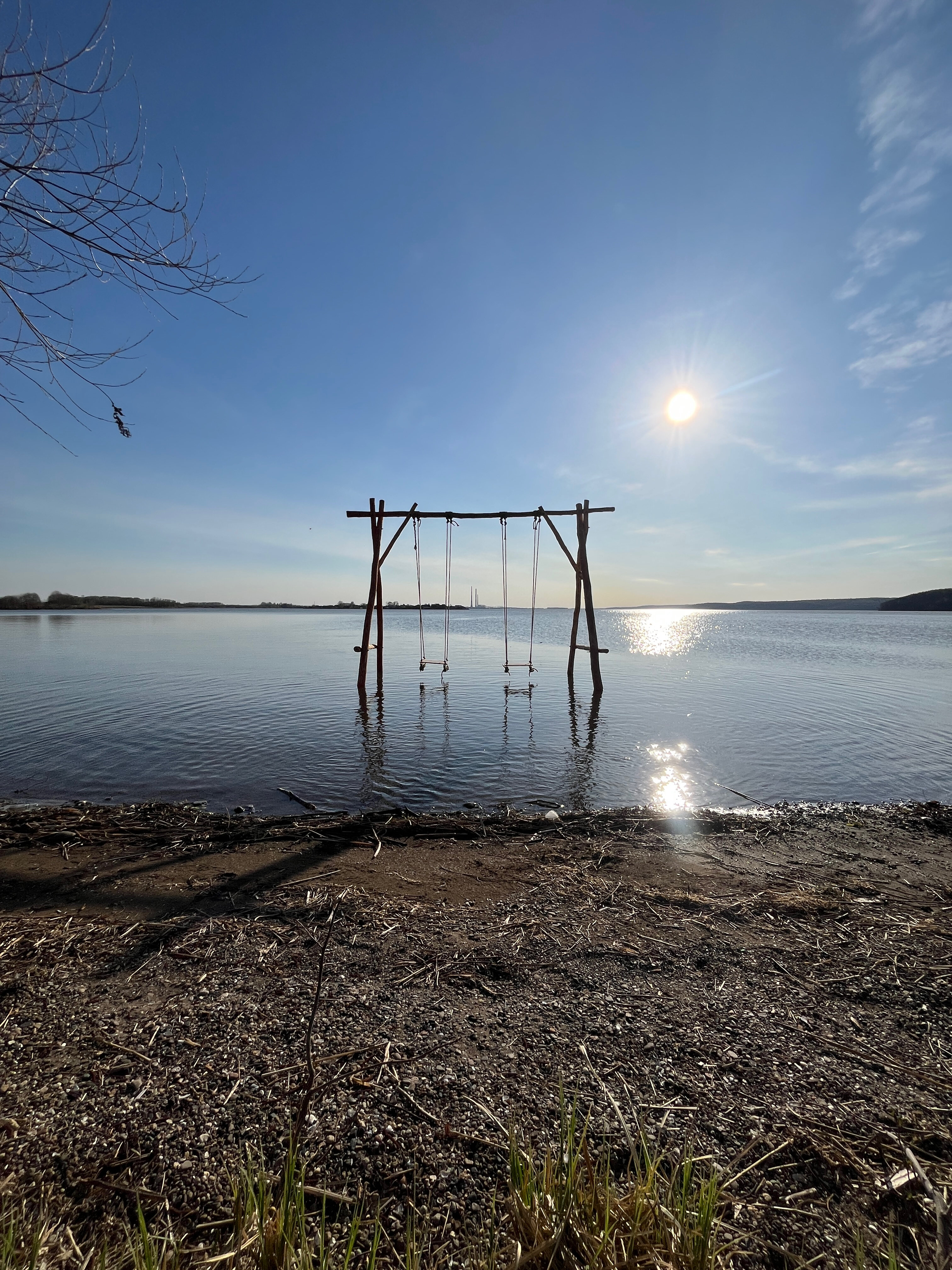 Фото Облепиха