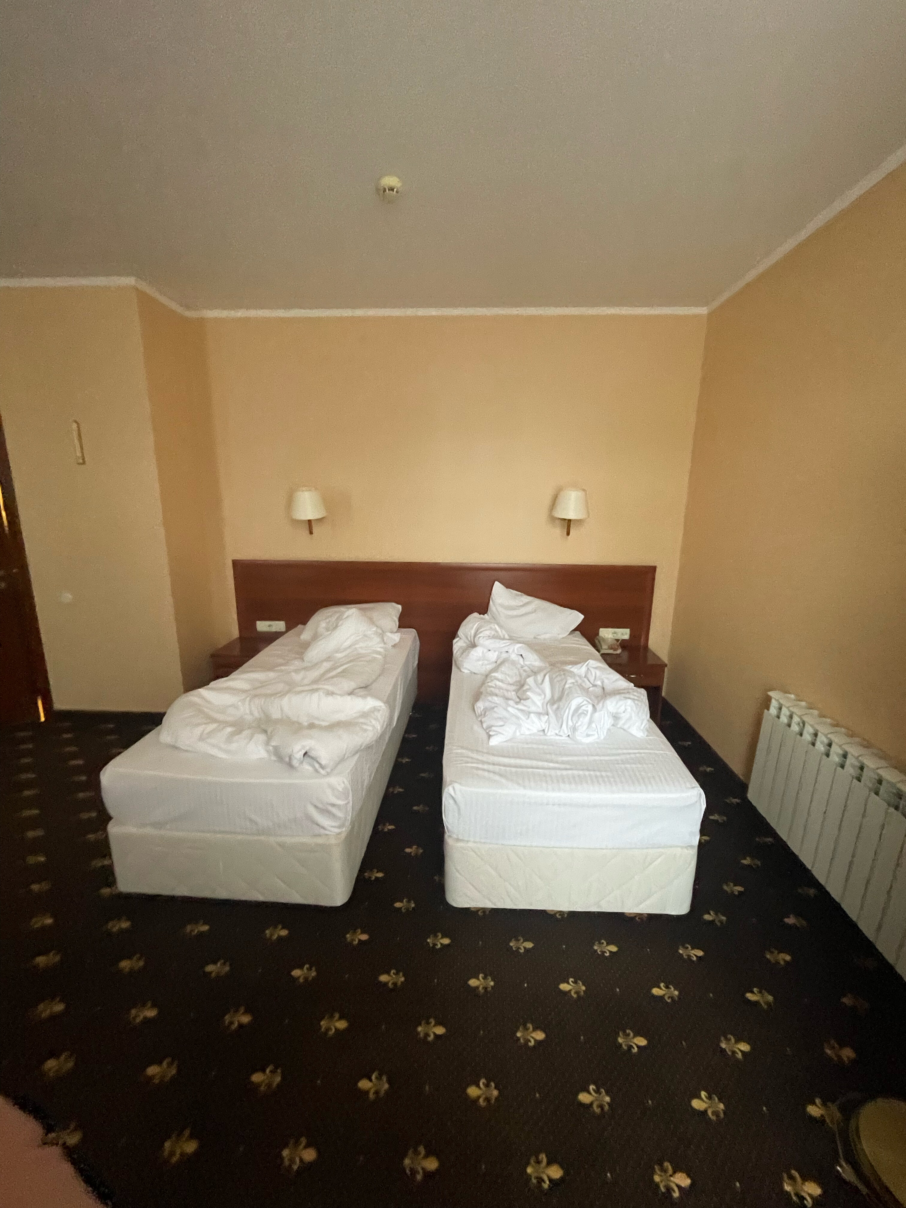 Фото Амарис