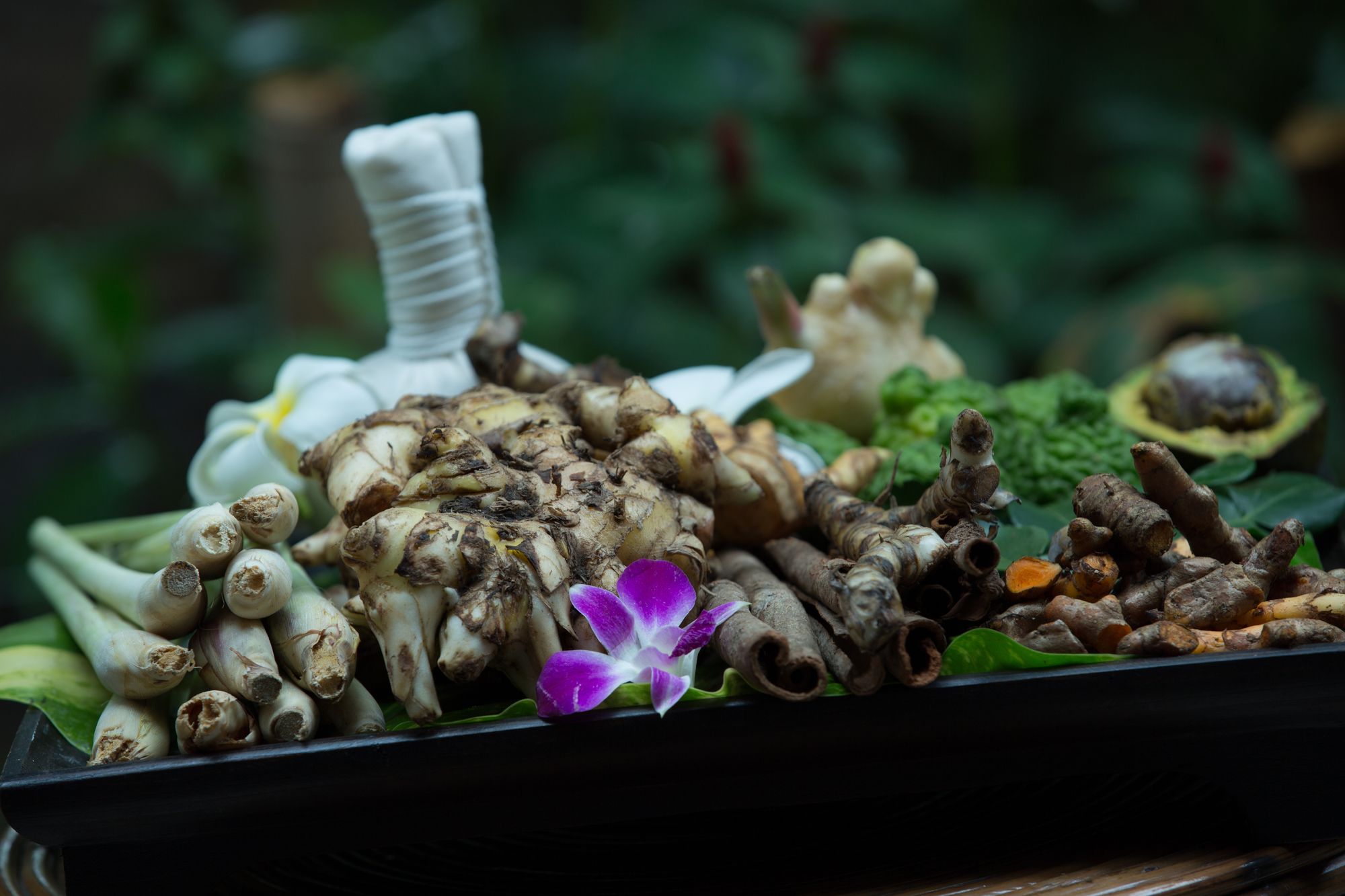 Фото EOcambo Residence