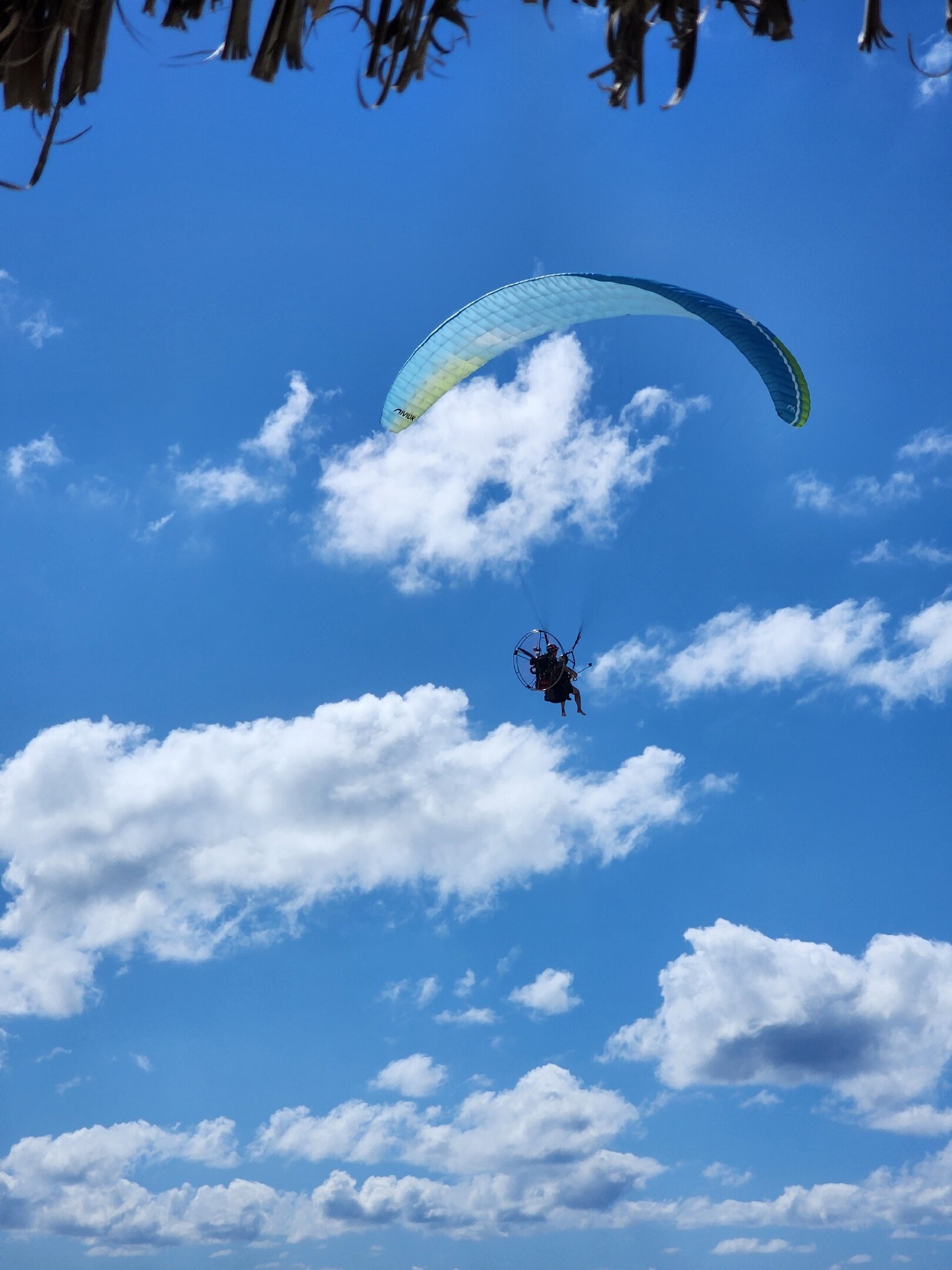 Фото Roc Arenas Doradas