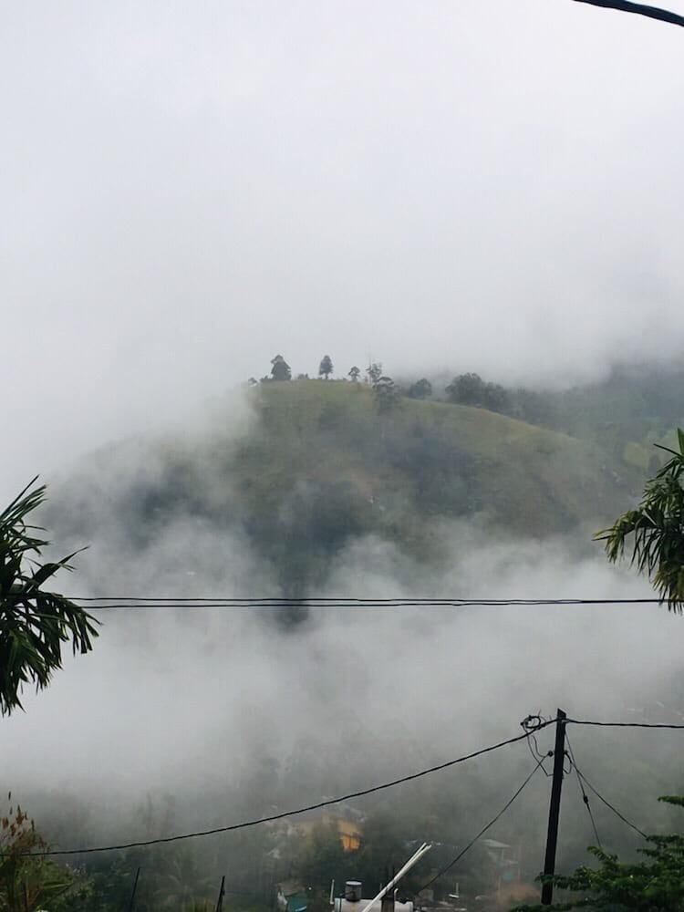 Фото Adannz view