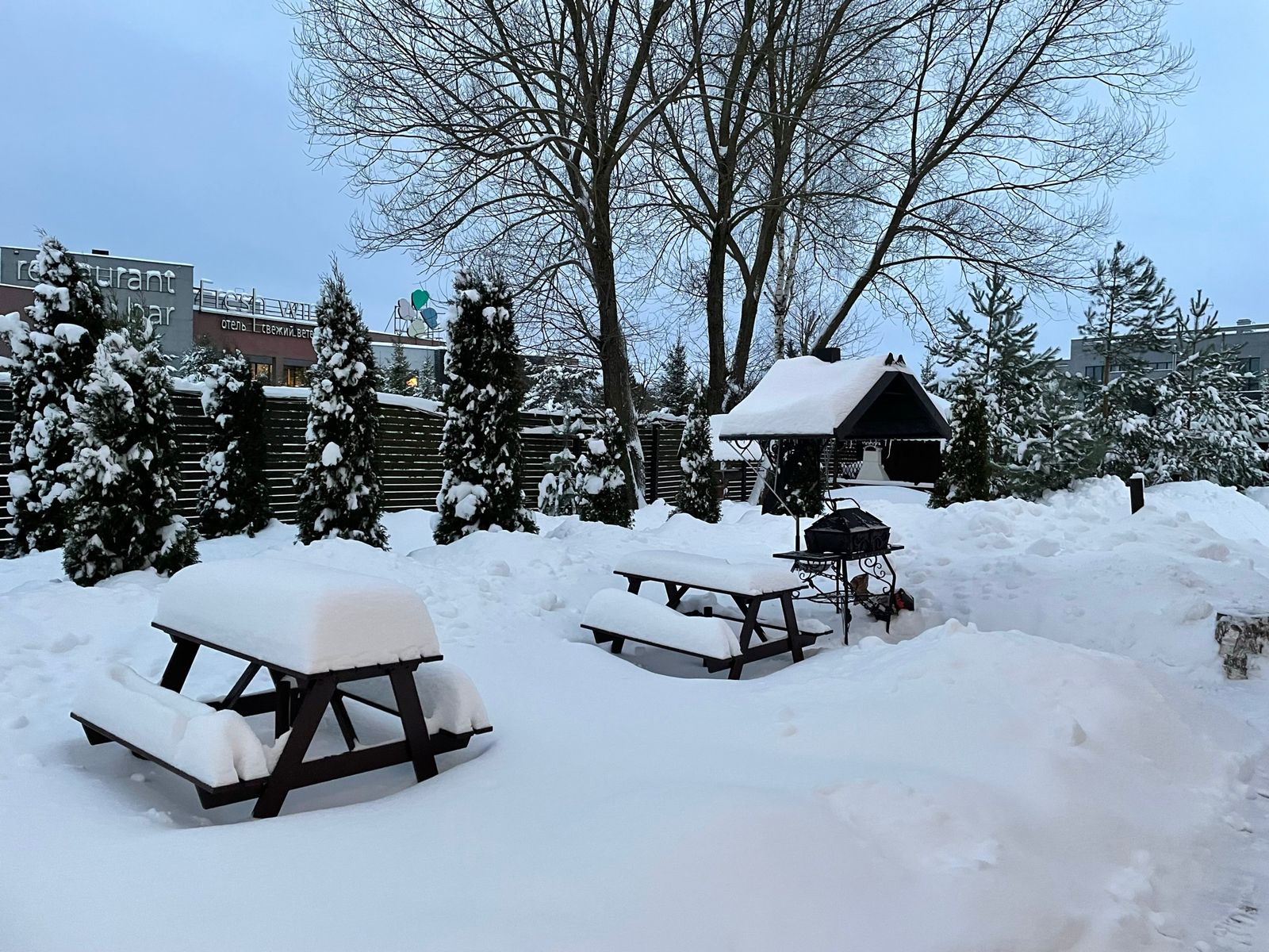 Фото Куршале