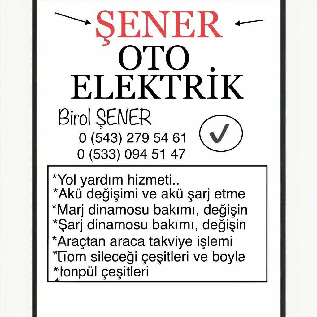Car service, auto repair Sener Auto Electric, Geyve, photo