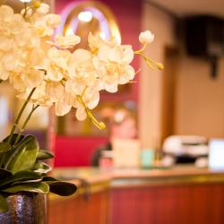 Фото Меридиан