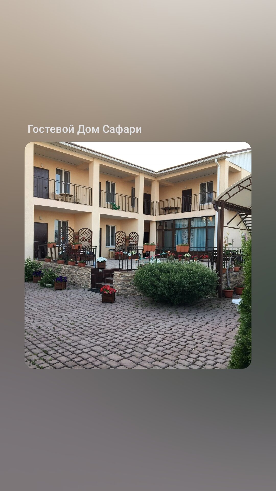 Фото Сафари