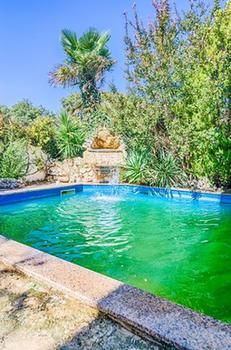 Фото Comfort Pool Apartments