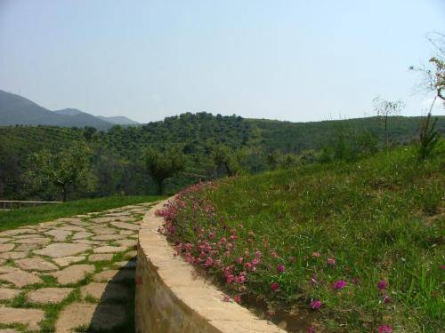 Фото Sulle Onde Della Collina
