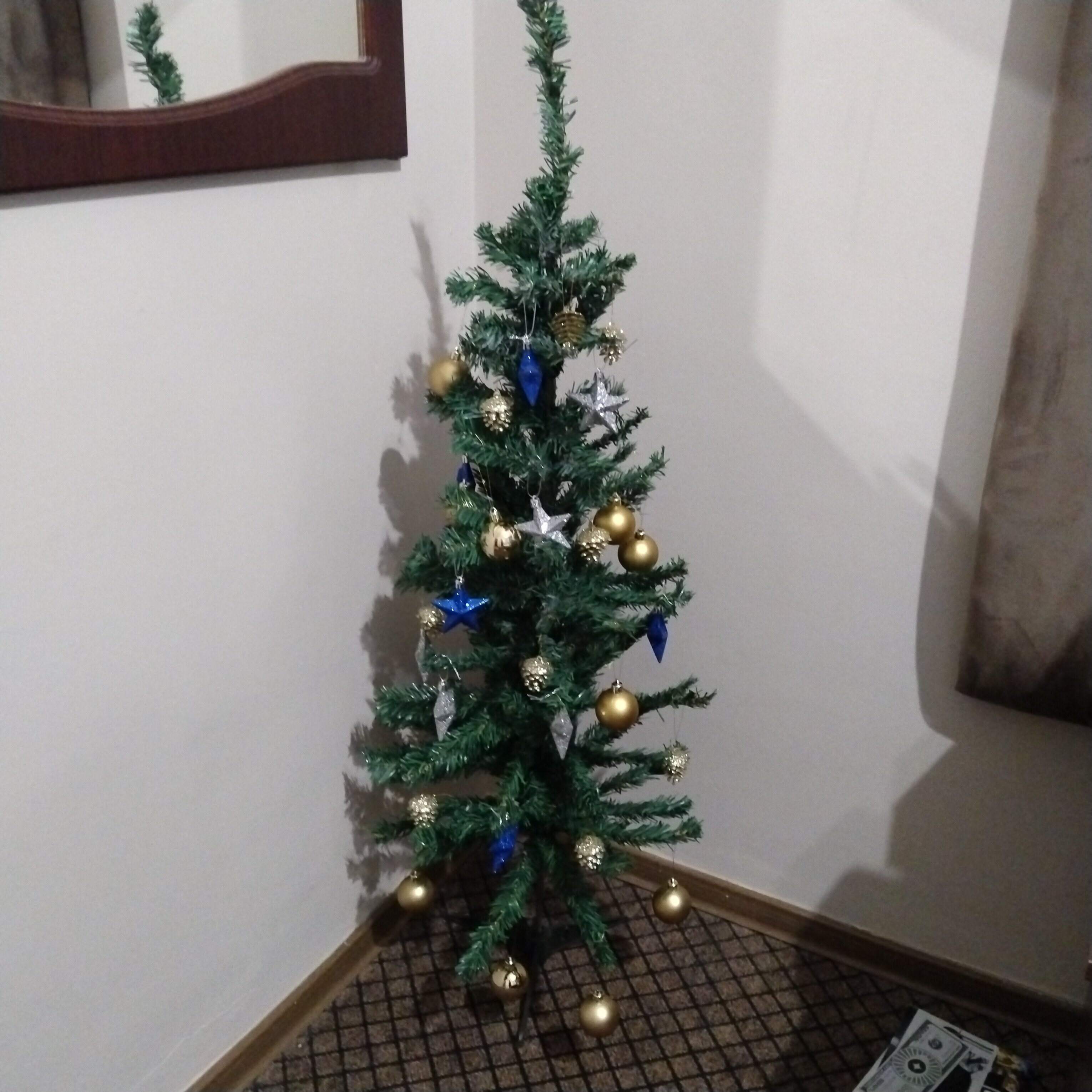 Фото Сафьян