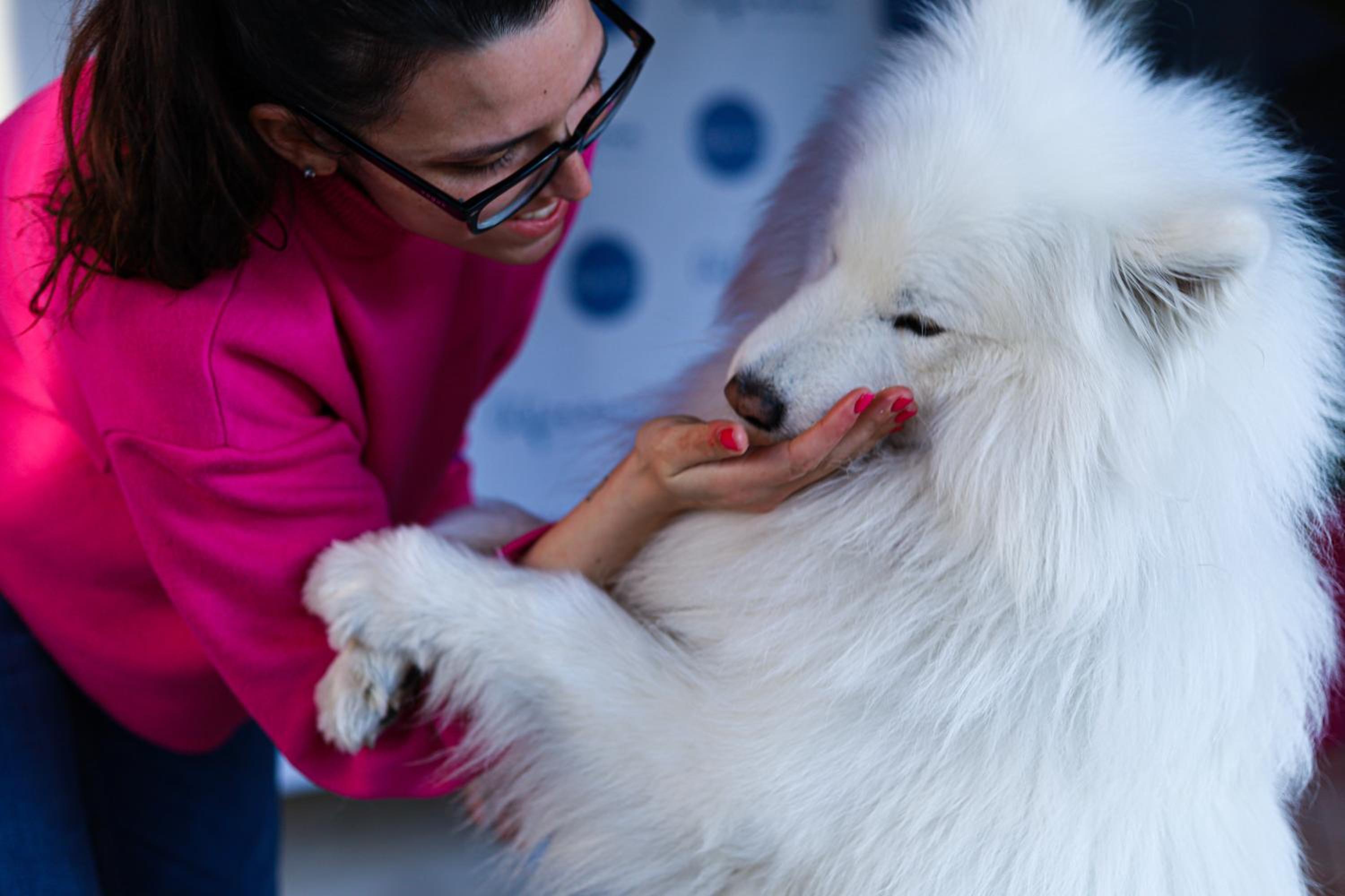 Фото Hotel Alfonsina