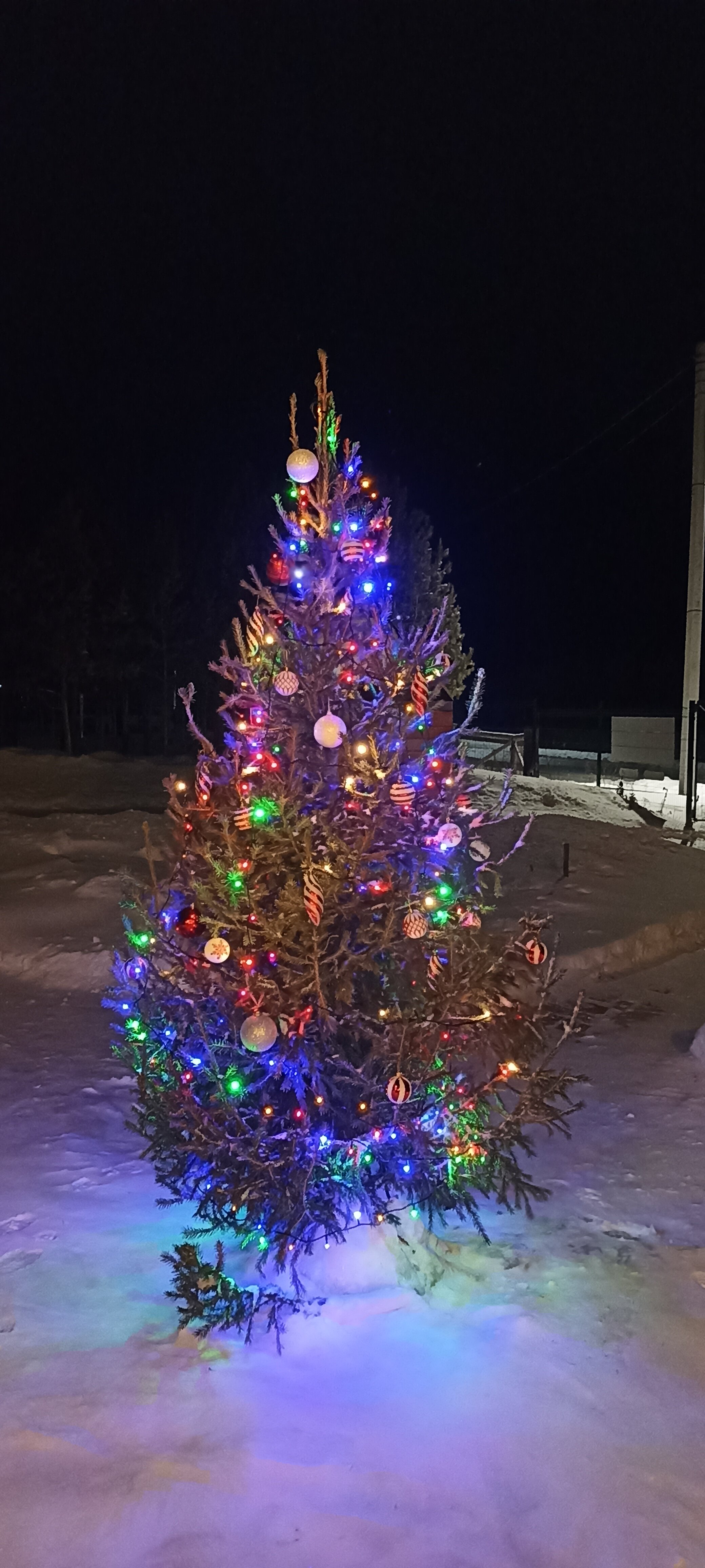 Фото Солнечная пристань